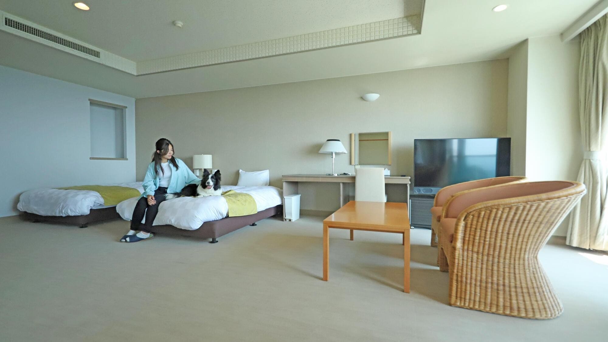 Japanese-Western style room