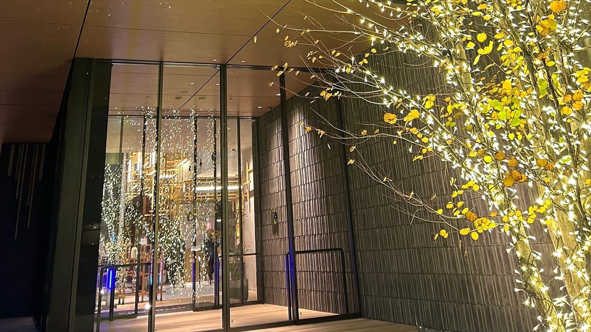 [Appearance/Christmas] Illuminations are lit at night, creating a romantic space.