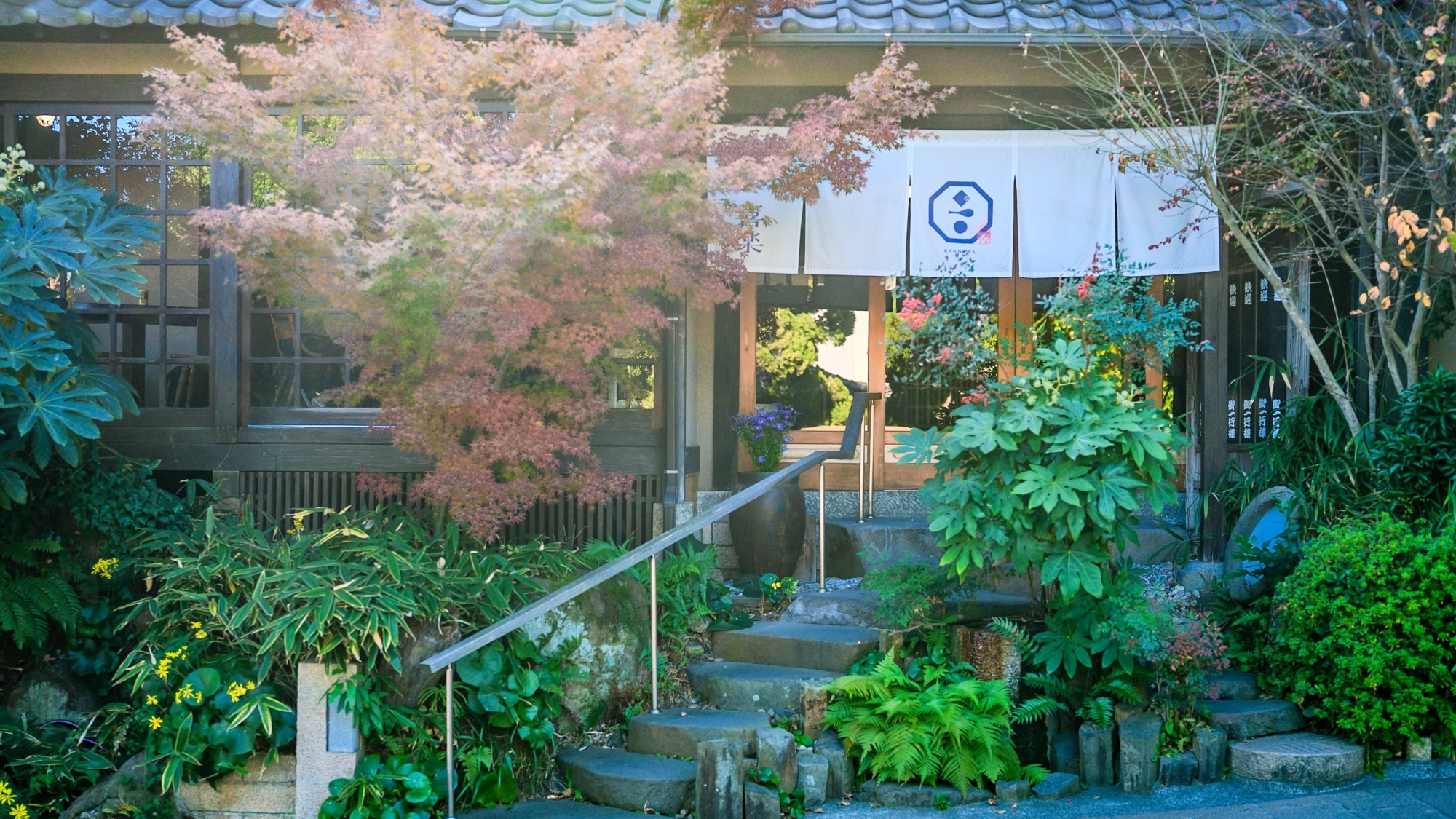 外观图