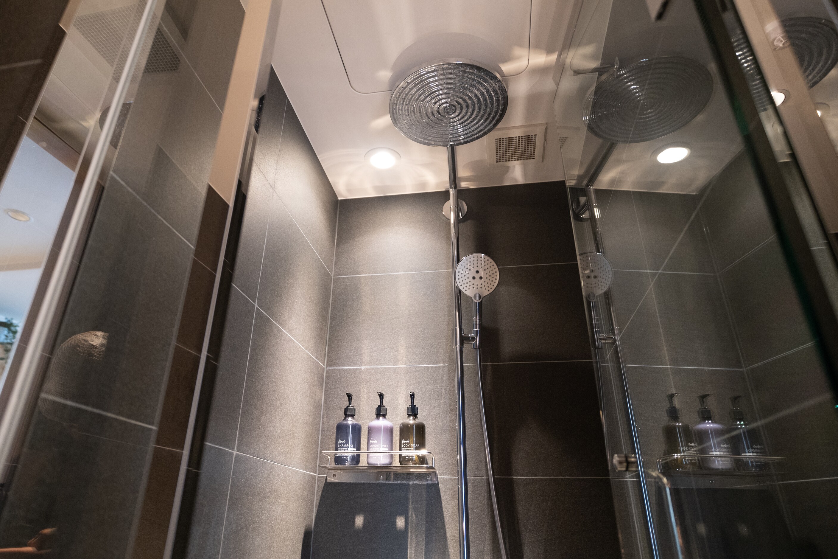 Overhead shower and hand shower