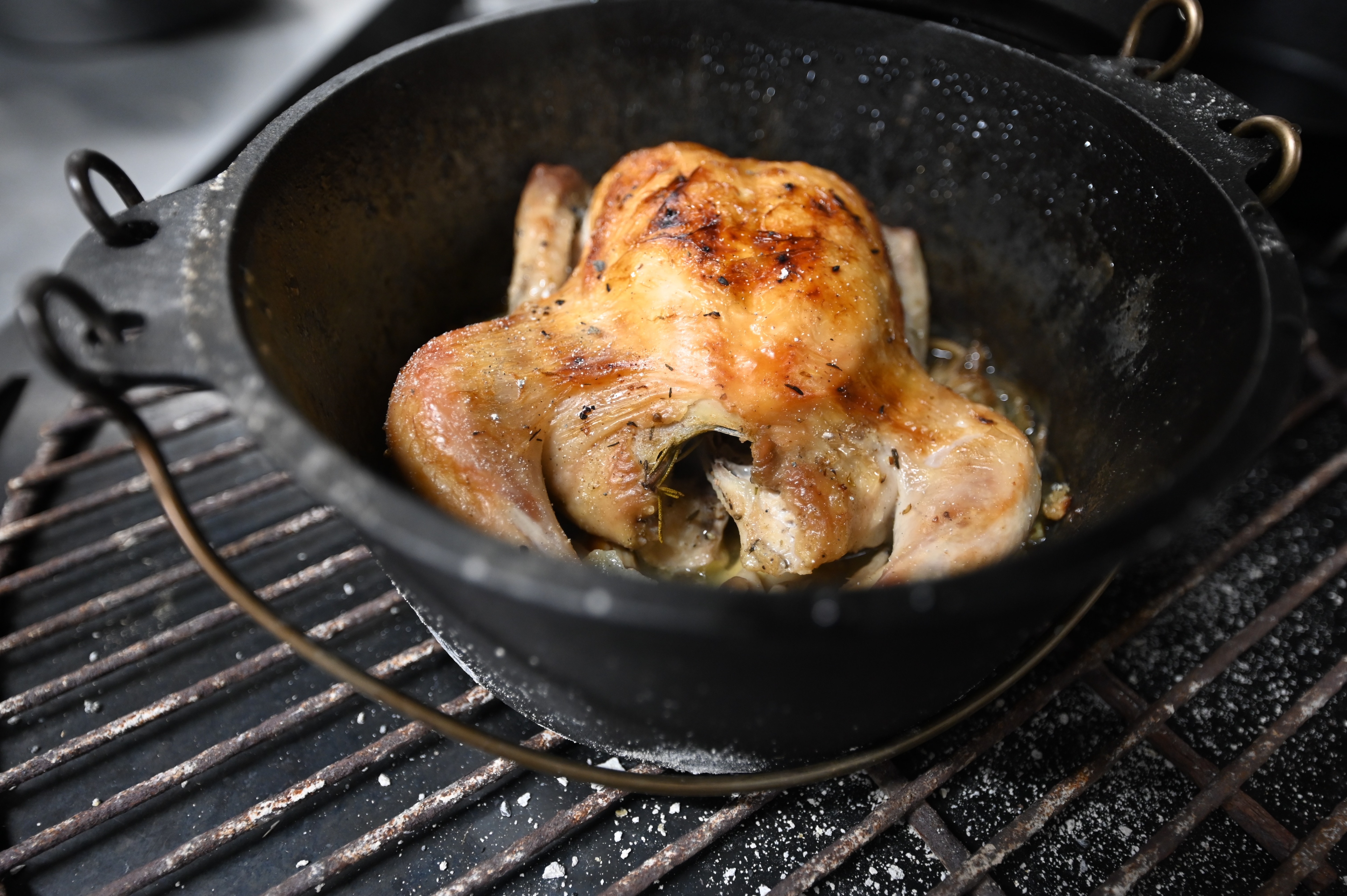 ayam terbuka belanda