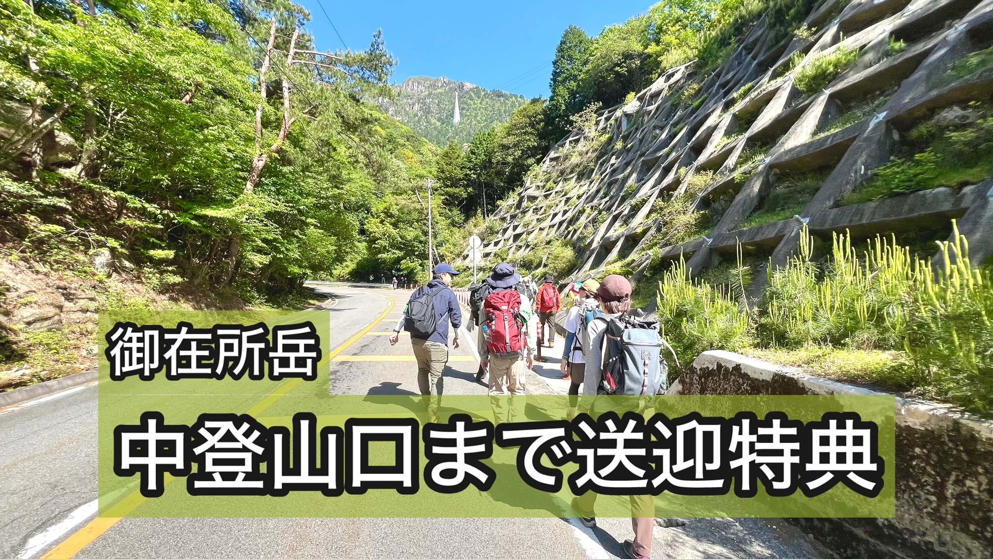轉讓效益形象