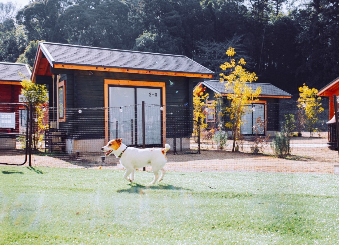 Private dog run