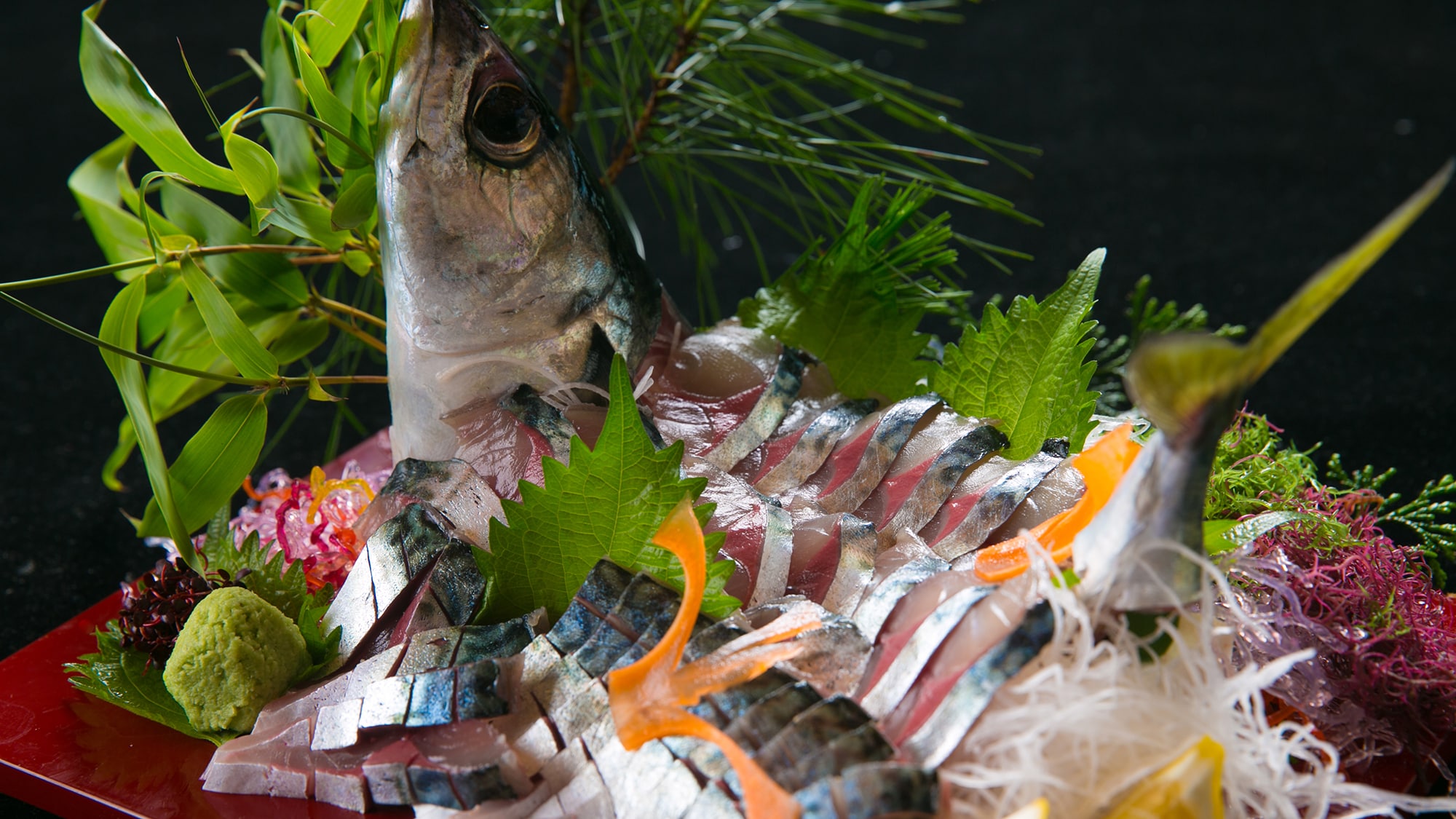 ◆Ikan tenggiri Seki◆