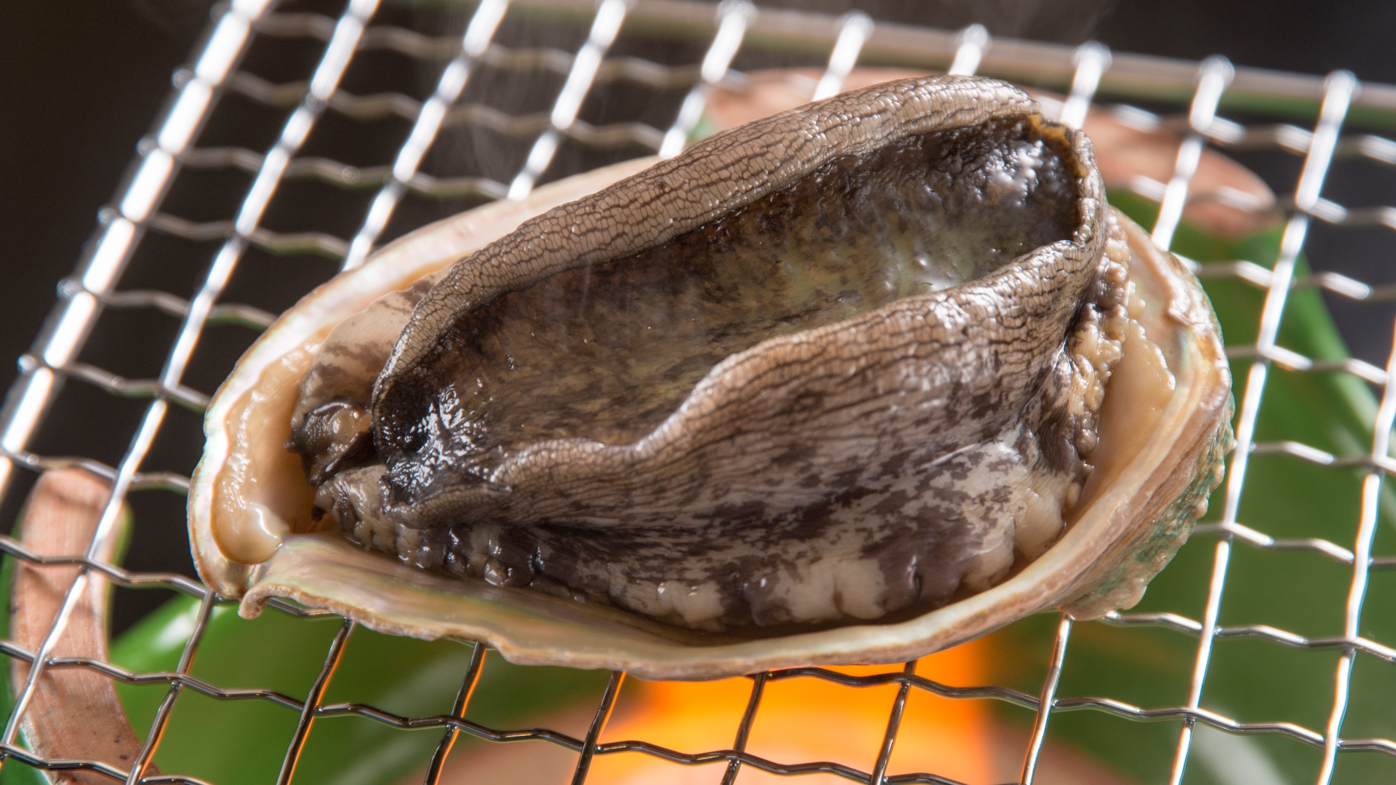 Abalone Dance Grill (2021)
