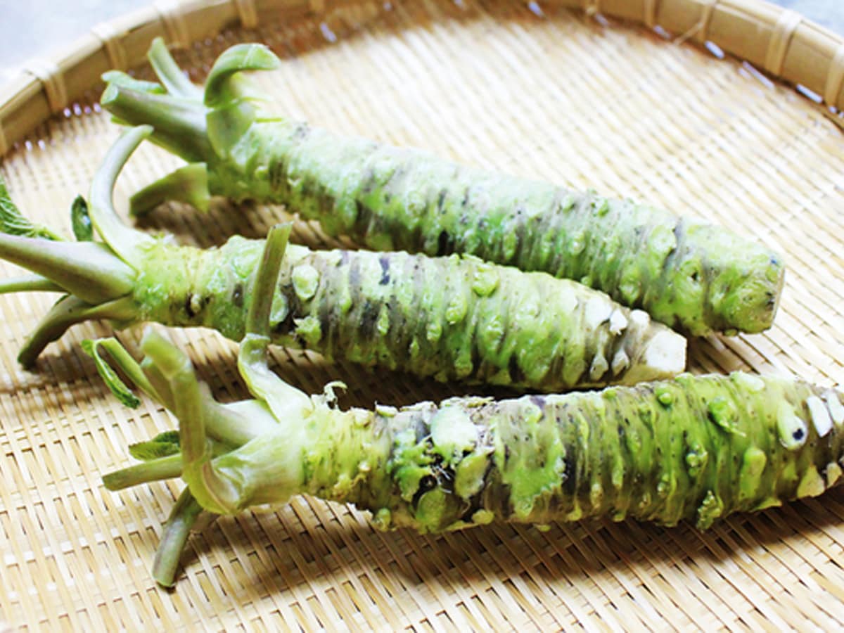 20 Wasabi, the birthplace of Globally Important Agricultural Heritage