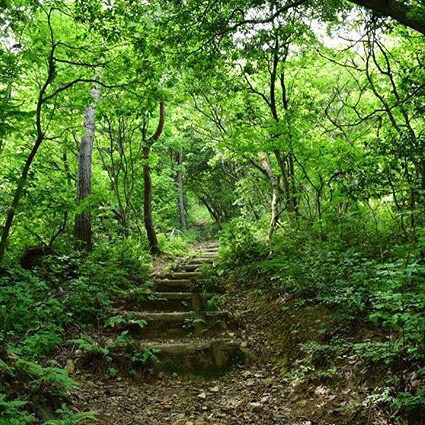 Odani Castle Walking Trail