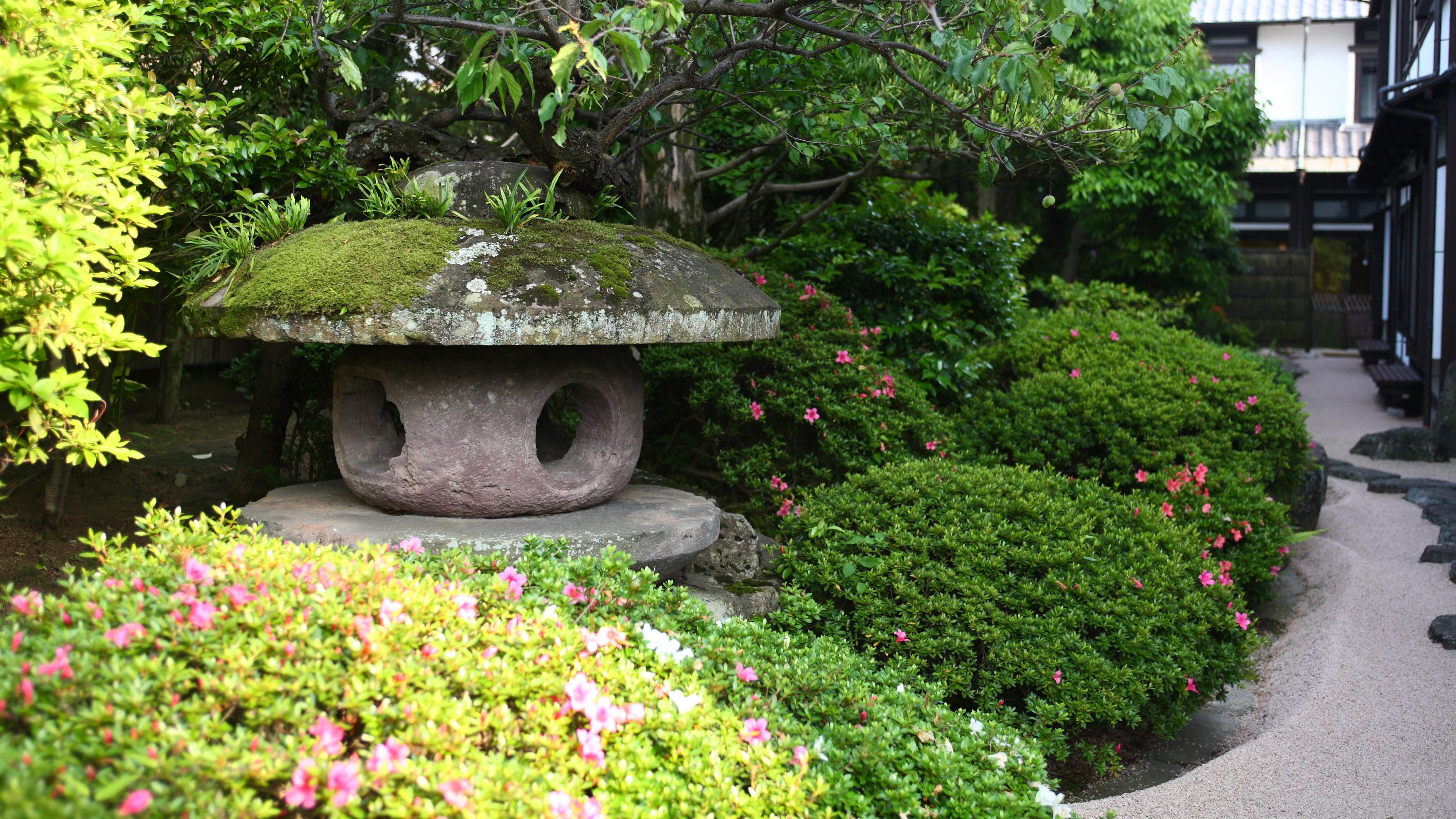 garden