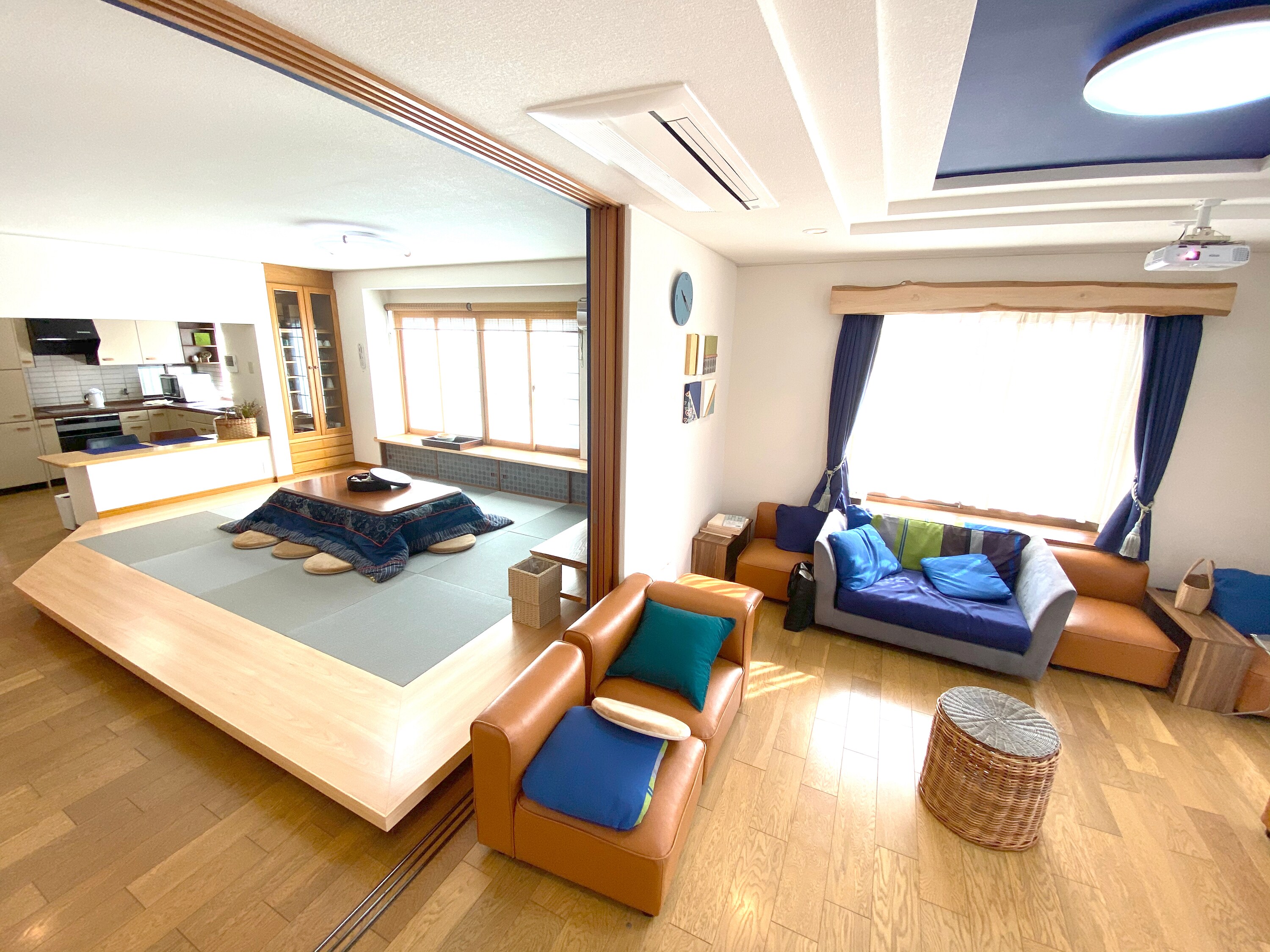 Theater room and sunken kotatsu