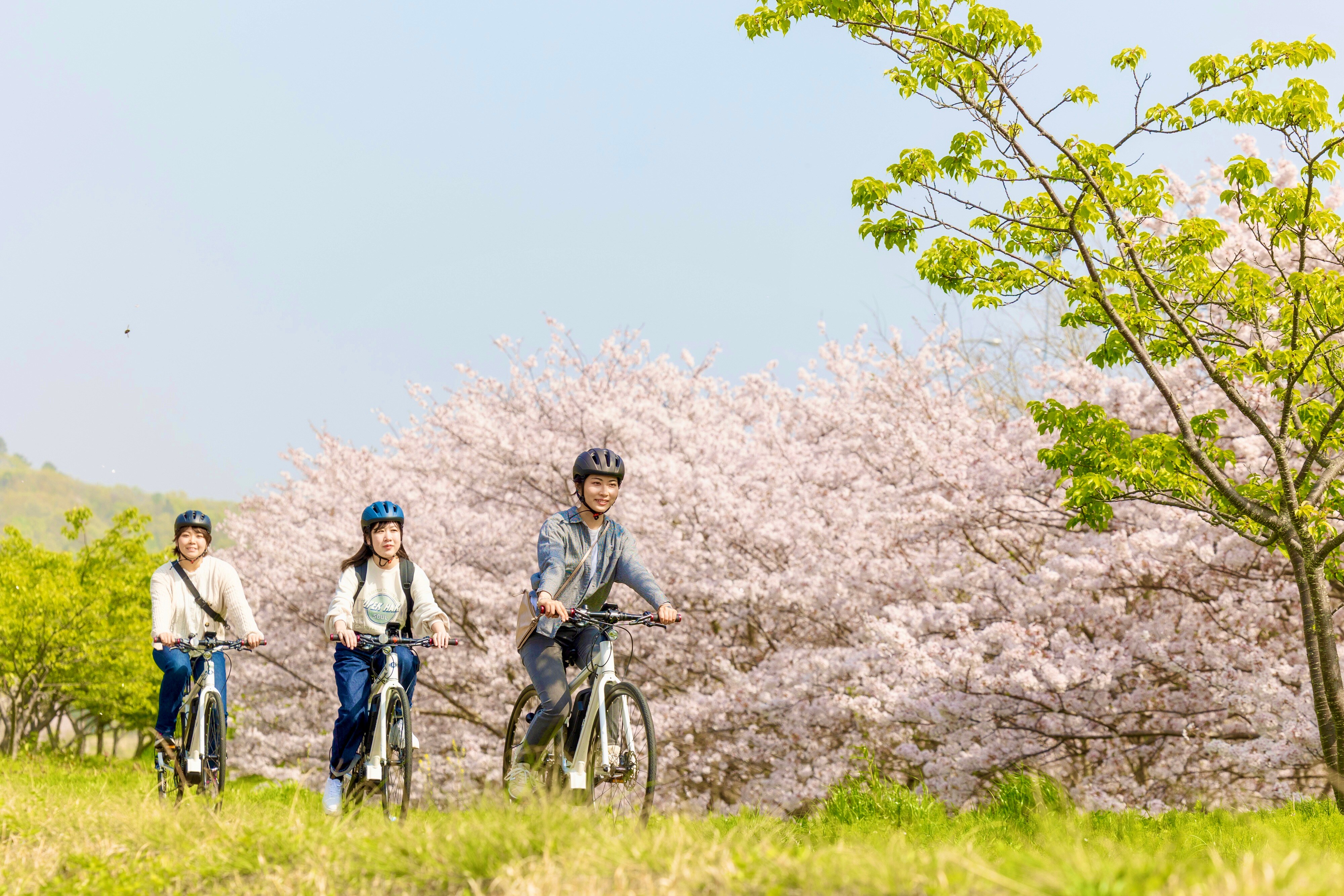 Spring Cycling
