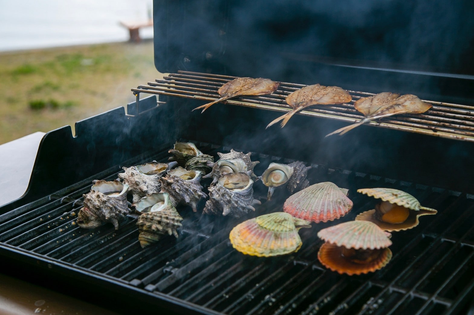 Contoh BBQ Makanan Laut