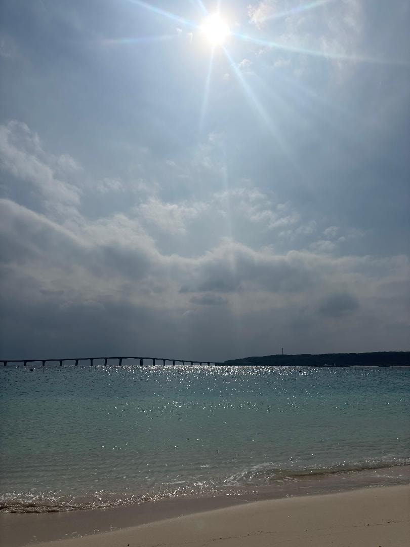 写真 2025-11-25 13 19 02.jpg