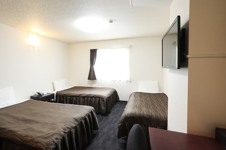 Triple room: There are 3 regular beds instead of simple beds. All rooms are non-smoking rooms.