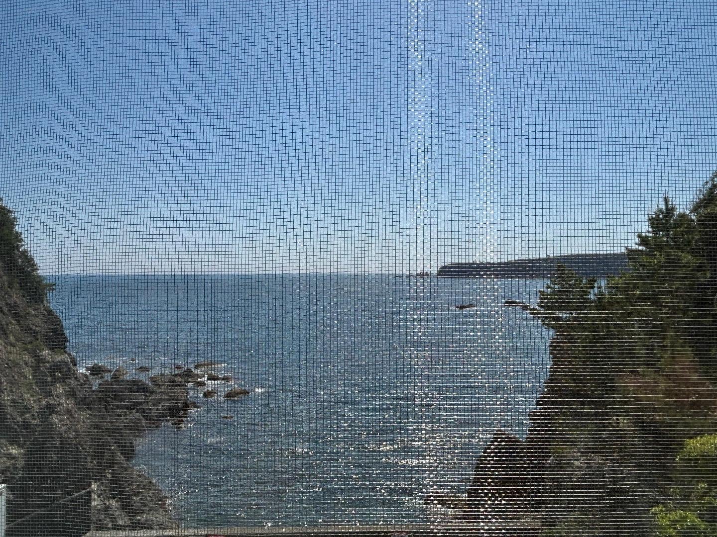 IMG_4150.jpeg