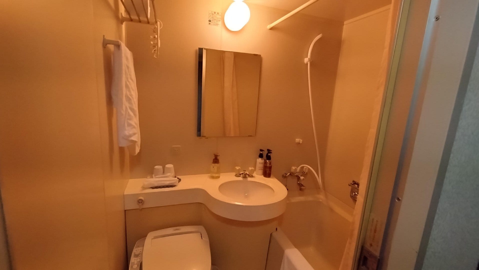 1000106146.jpg