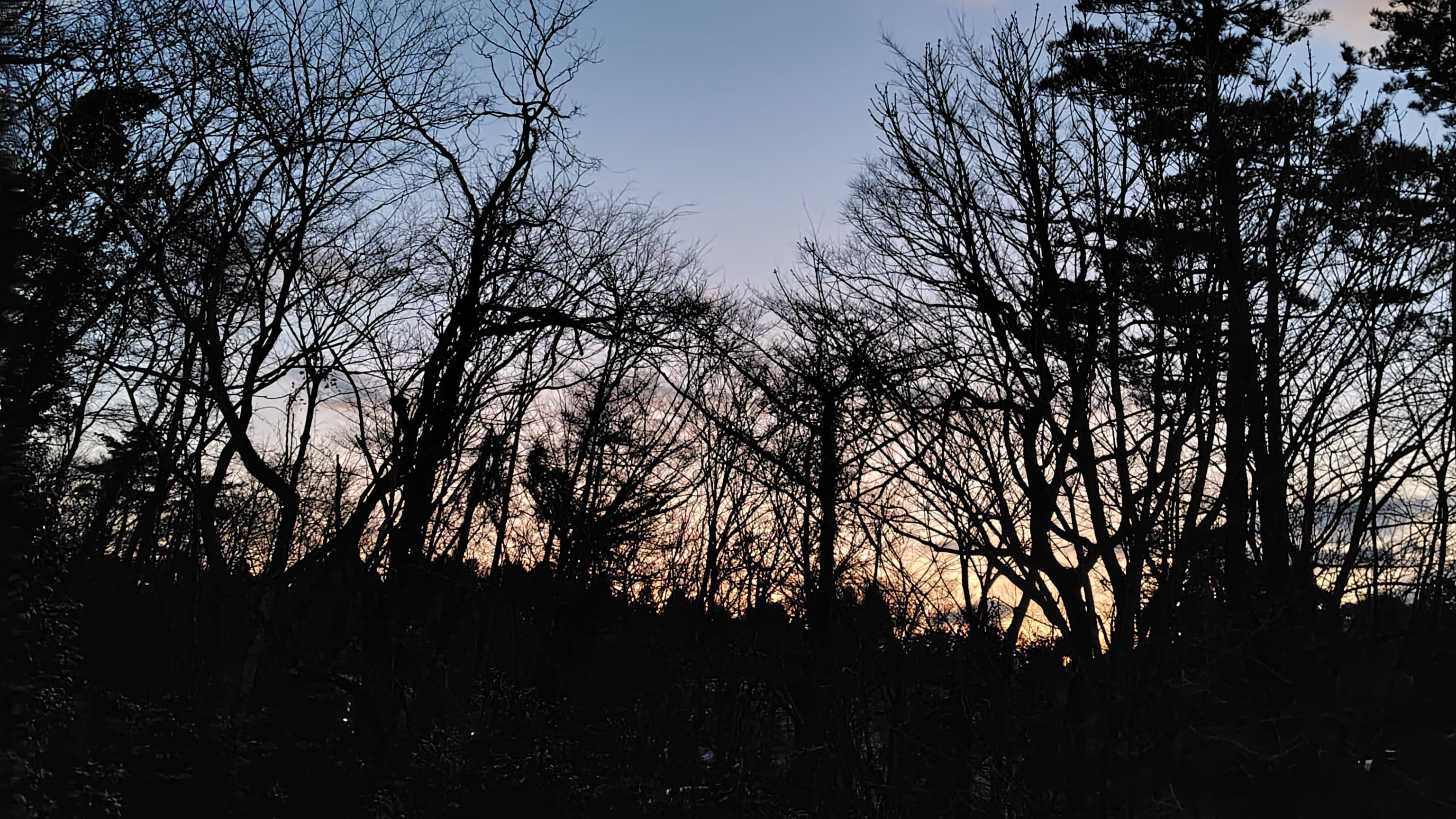 Within the pension grounds (sunset)