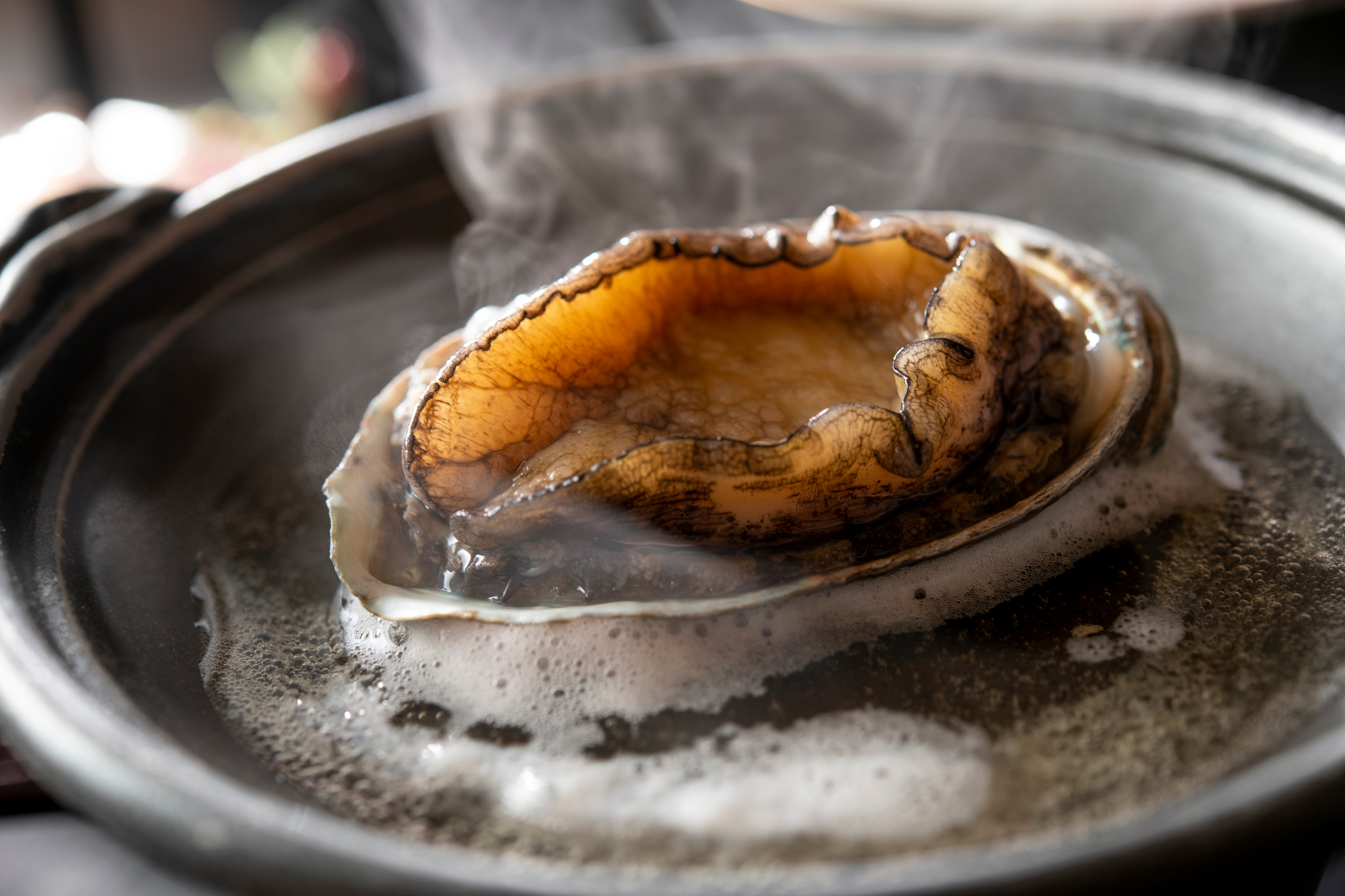 Abalone dishes