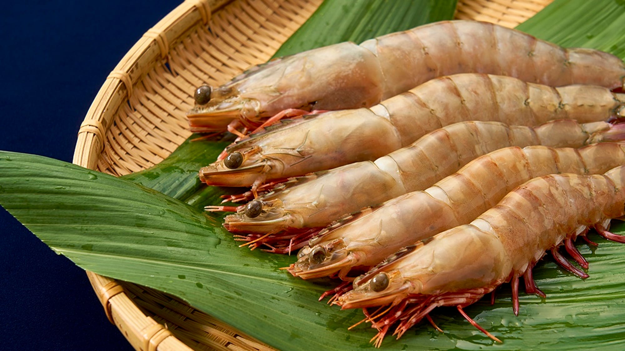 ここ和歌浦・新和歌ロッジでしか食べられない幻の絶品エビを、一度食べに来ませんか？？