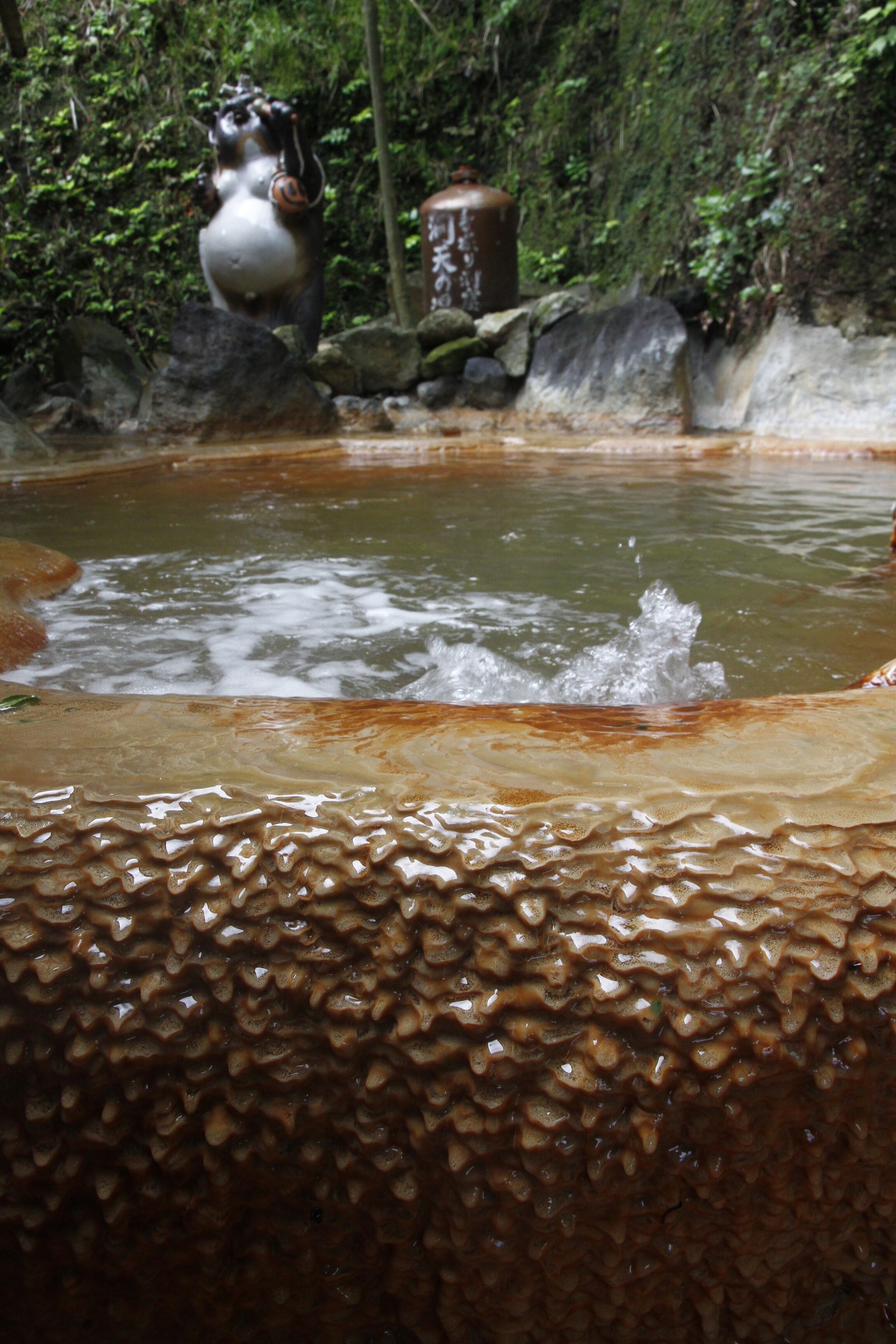 A singing raccoon greets you in the open-air bath