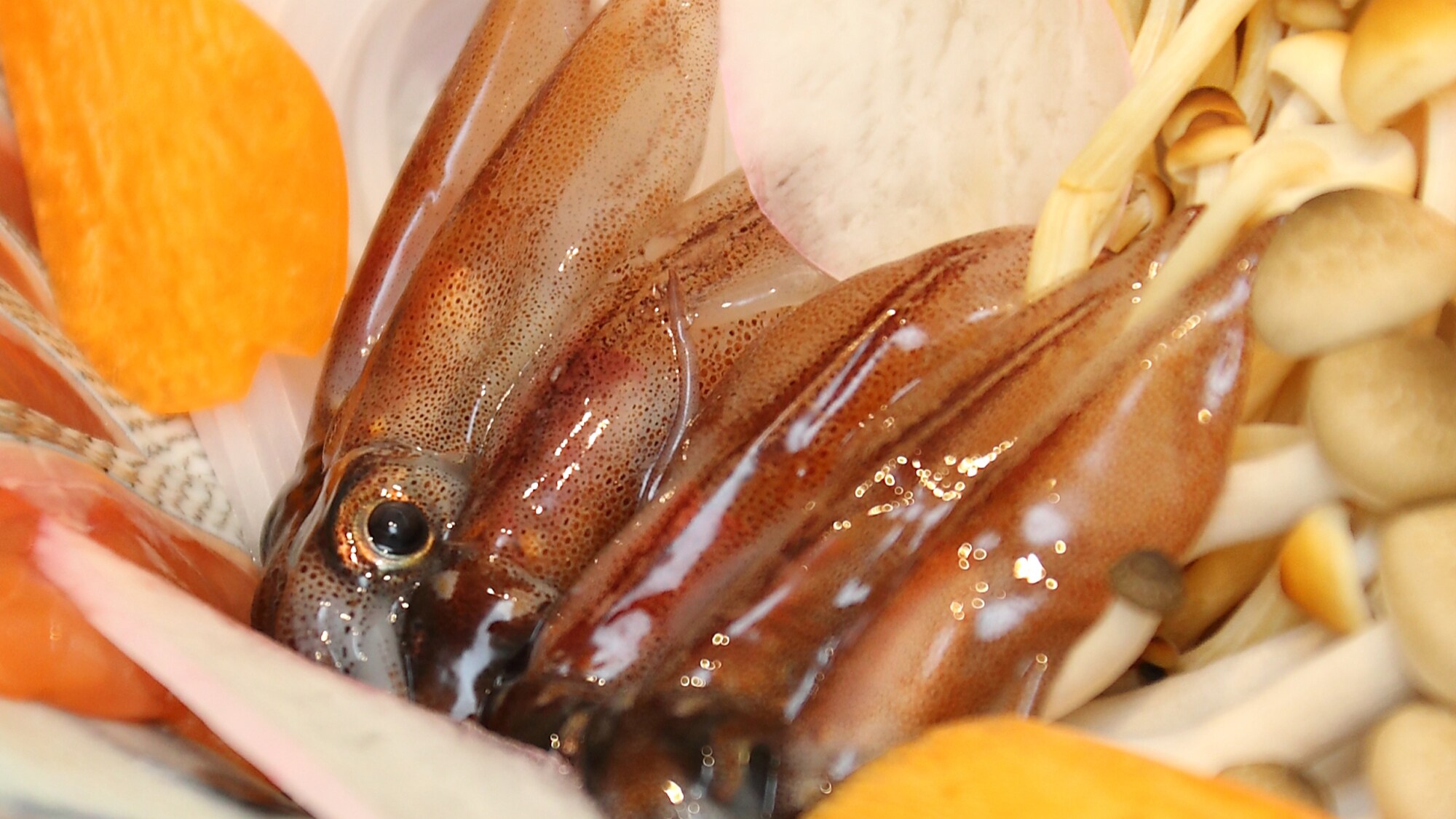 Firefly squid shabu-shabu