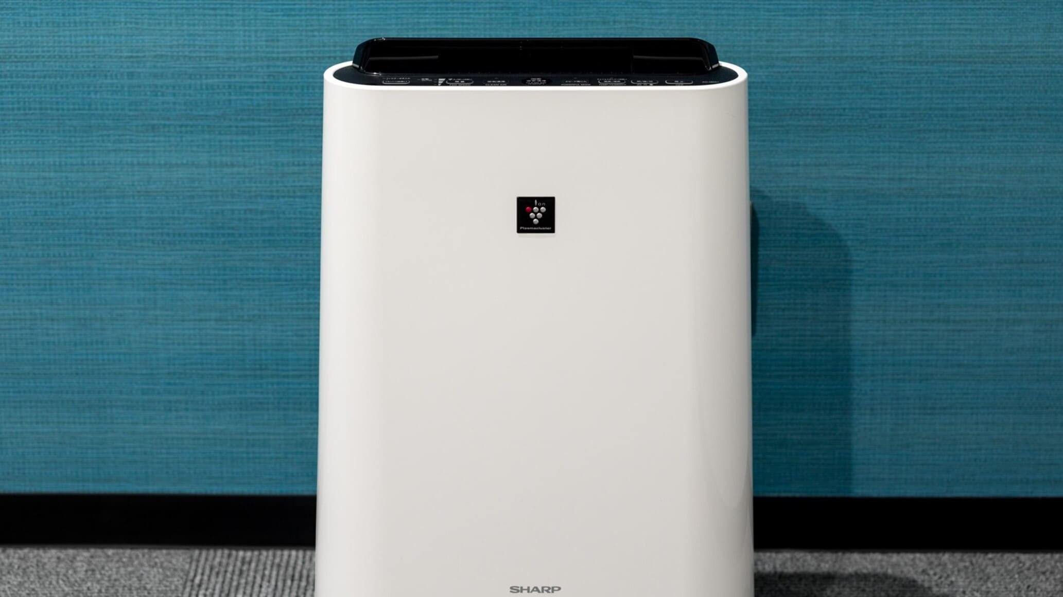 All guest rooms air purifiers