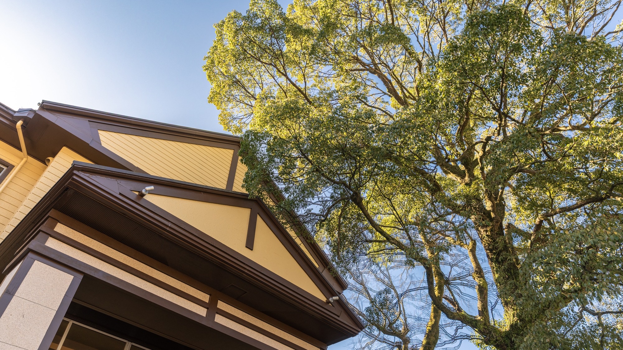 Exterior view (daytime)