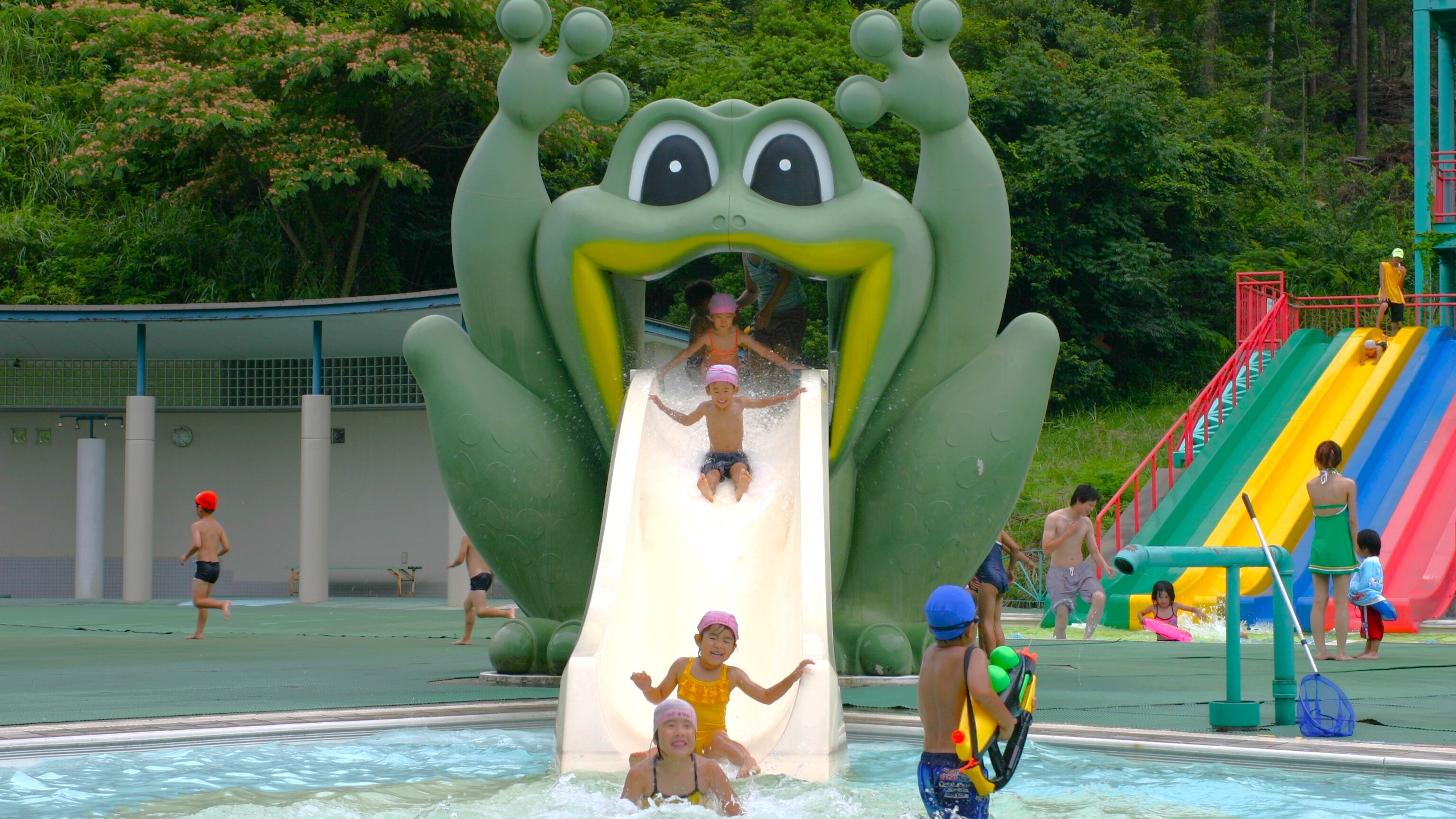 Frog slide