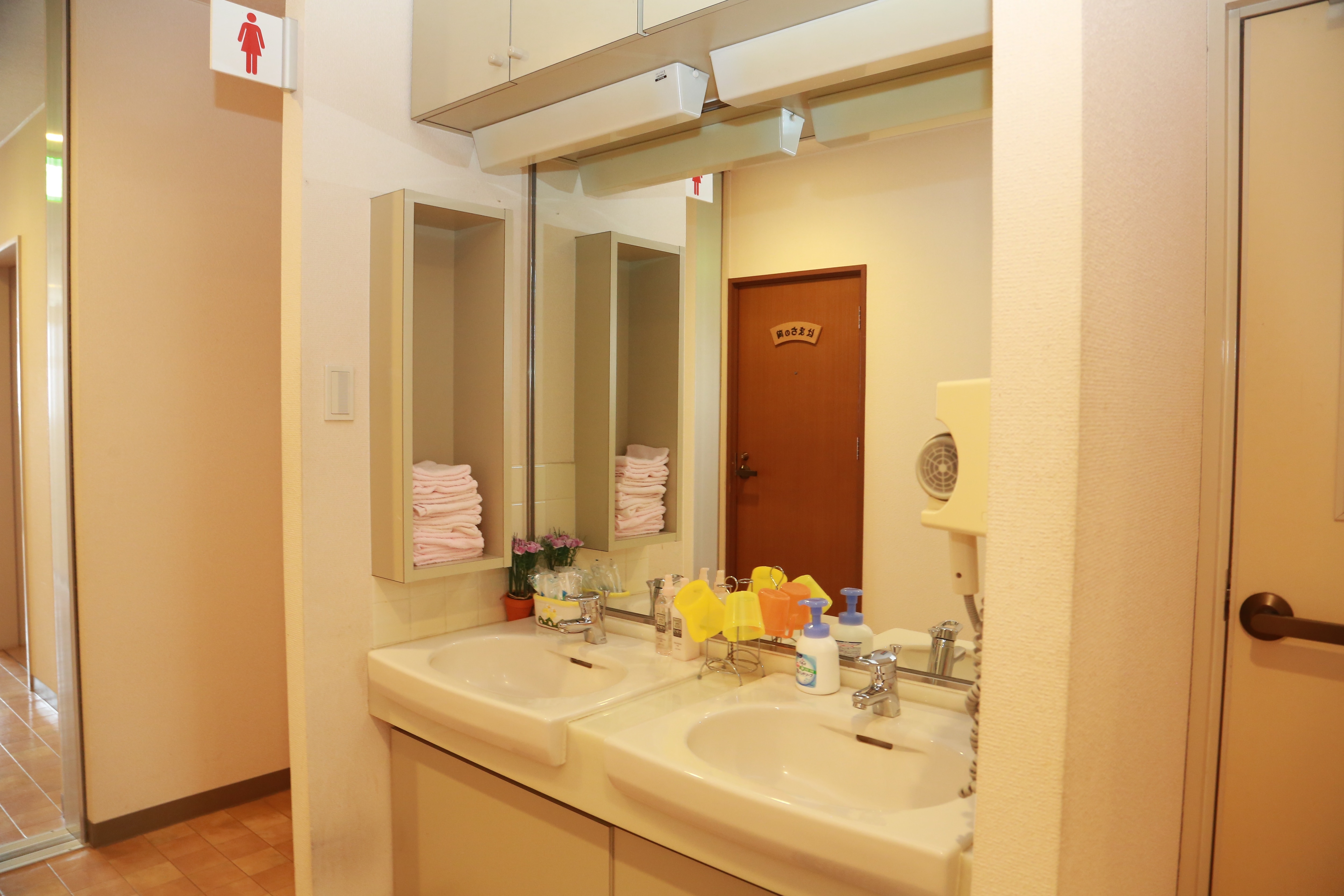 The sink and toilet are located close to the room.