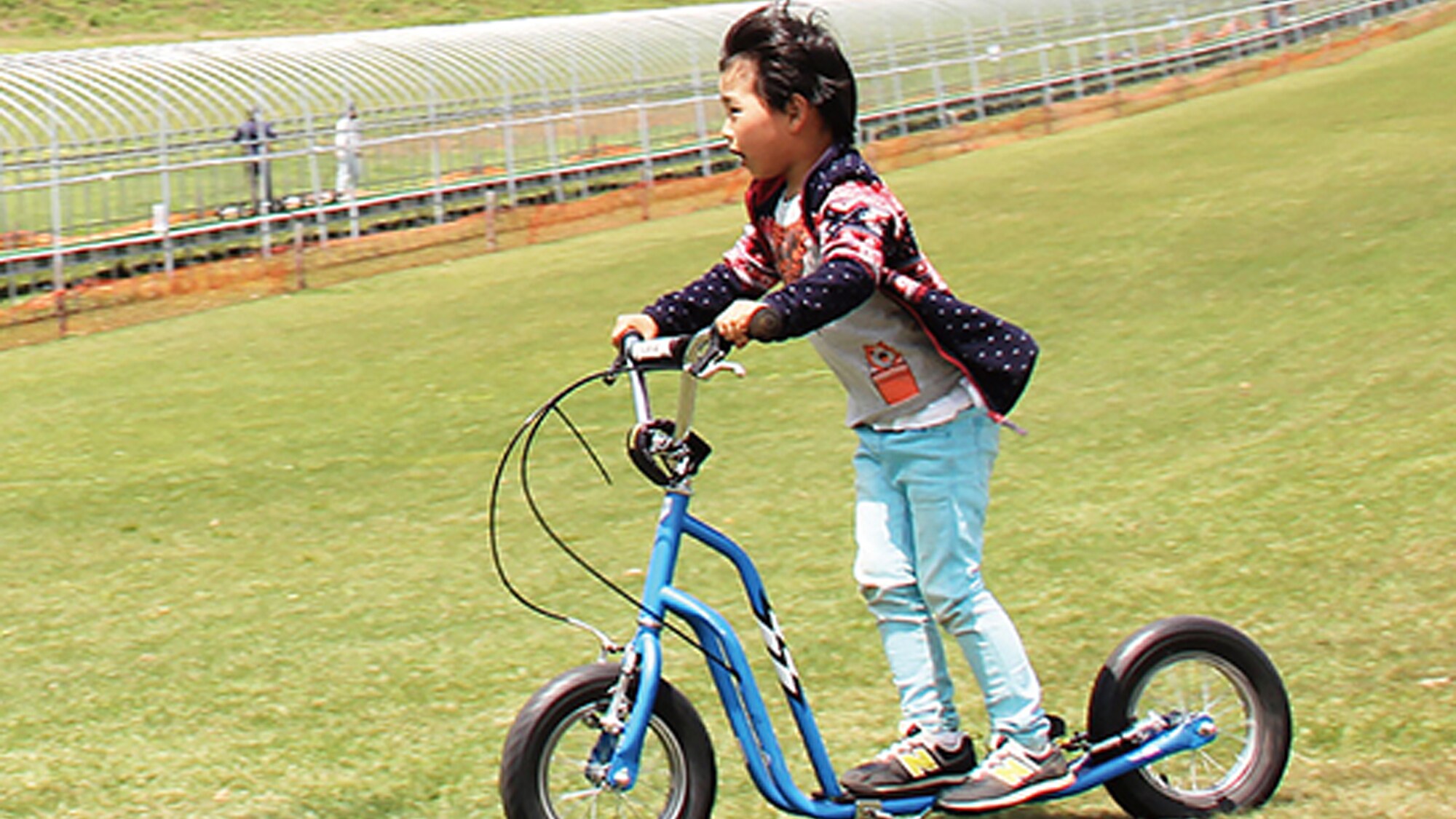 Buggy Cross