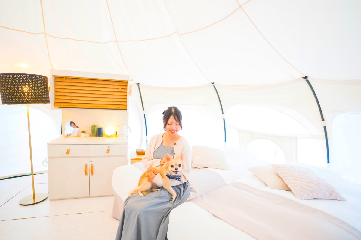 Nakisuna Dog Suite Glamping Tent【预计11月开业】