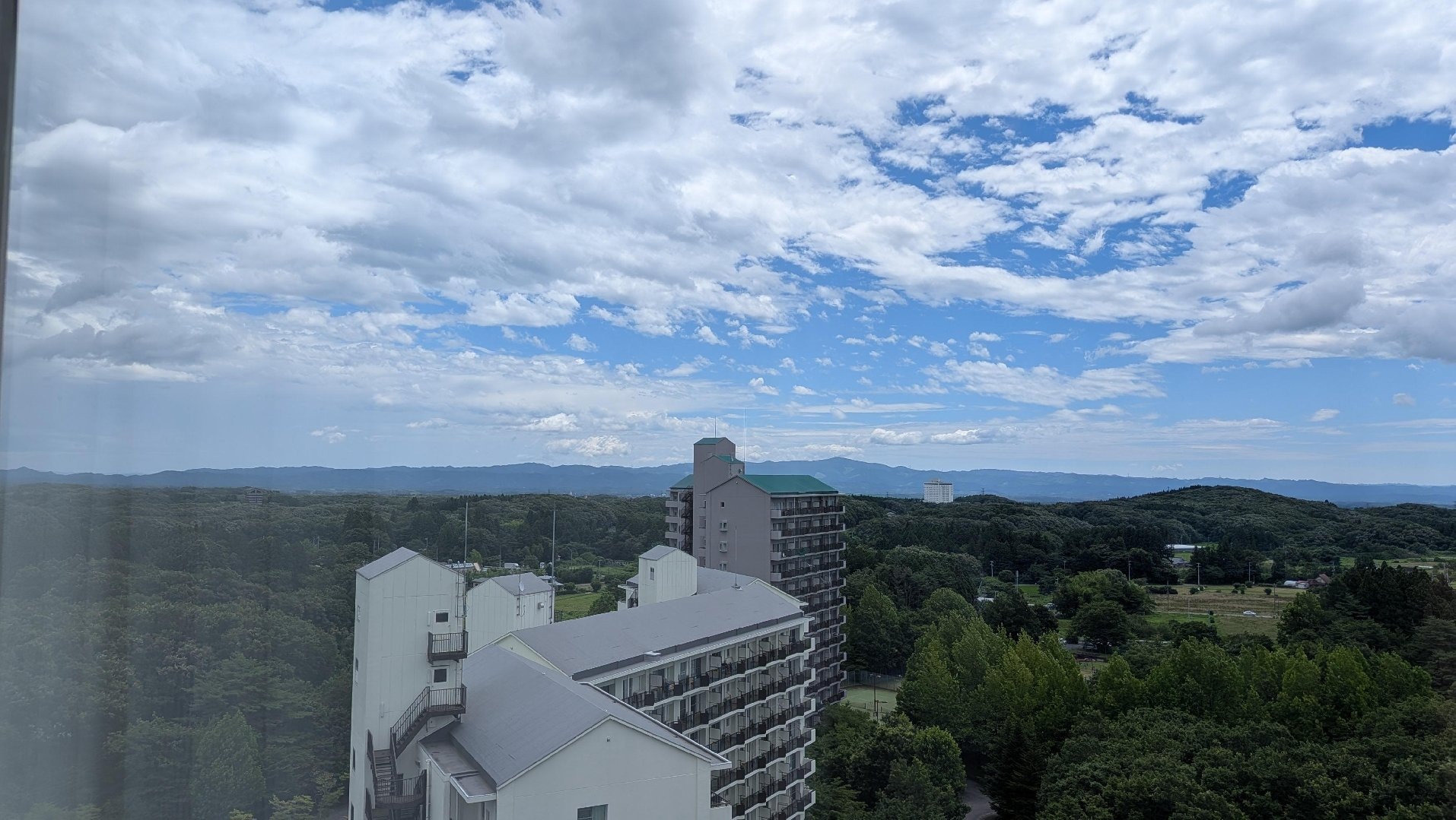 8470.jpg