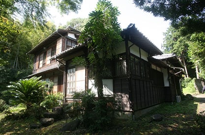 Appearance image