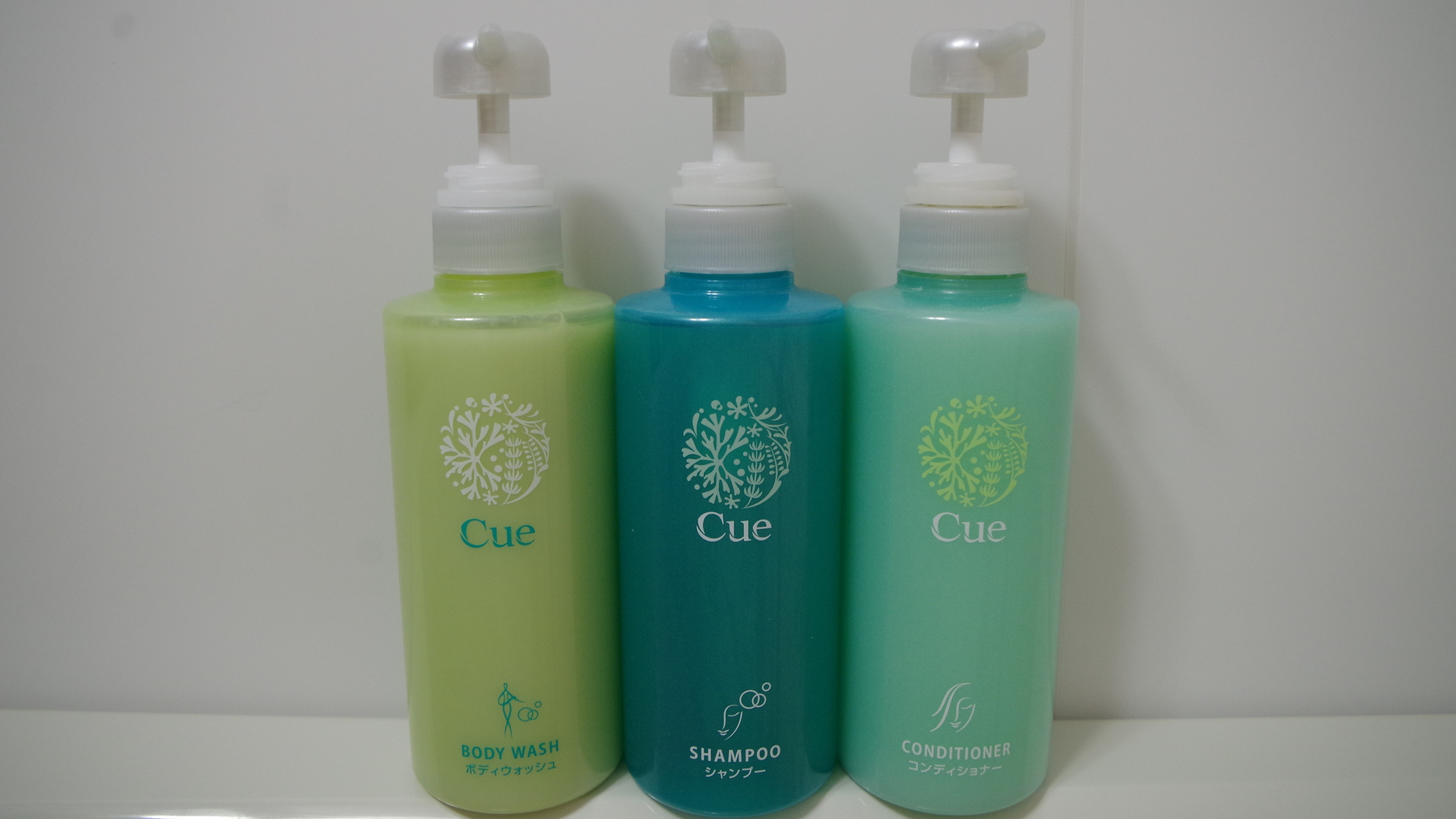 Room amenities (shampoo, conditioner, body soap)