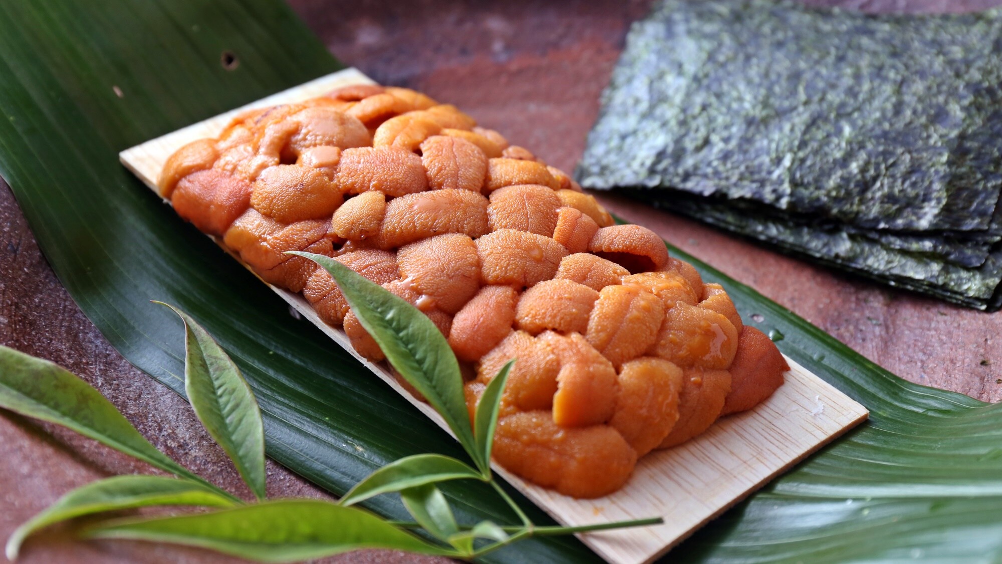 *Ví dụ về bữa tối (Ưu đãi giới hạn thời gian: Nhím biển tươi) *1 hộp cho 2 người