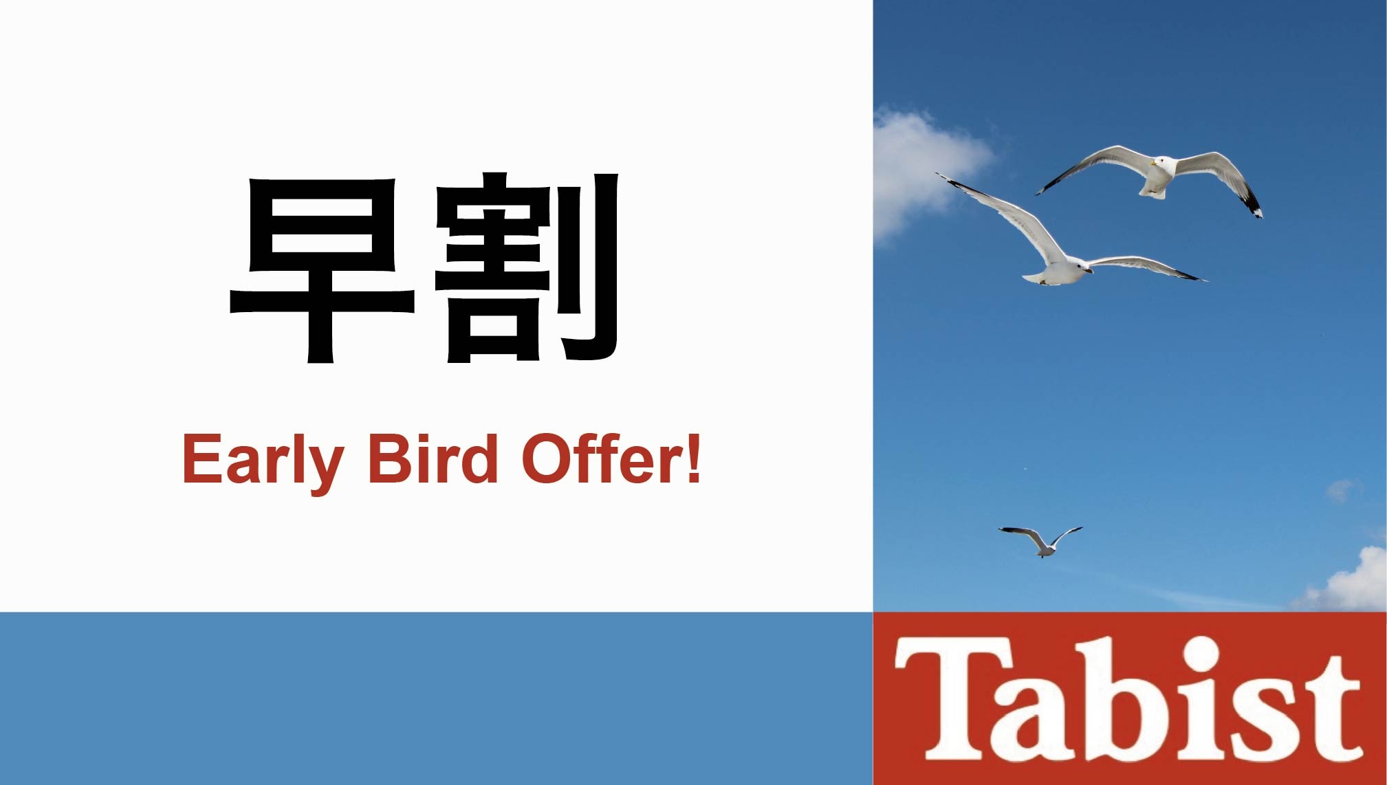 Early bird discount☆