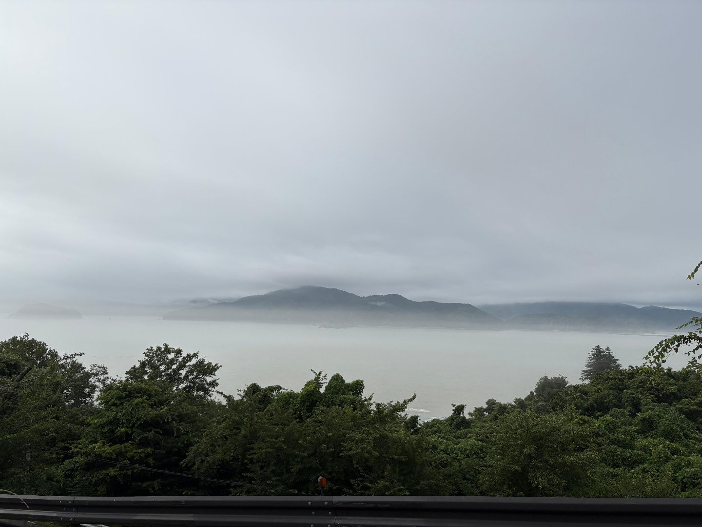 IMG_2014.jpeg