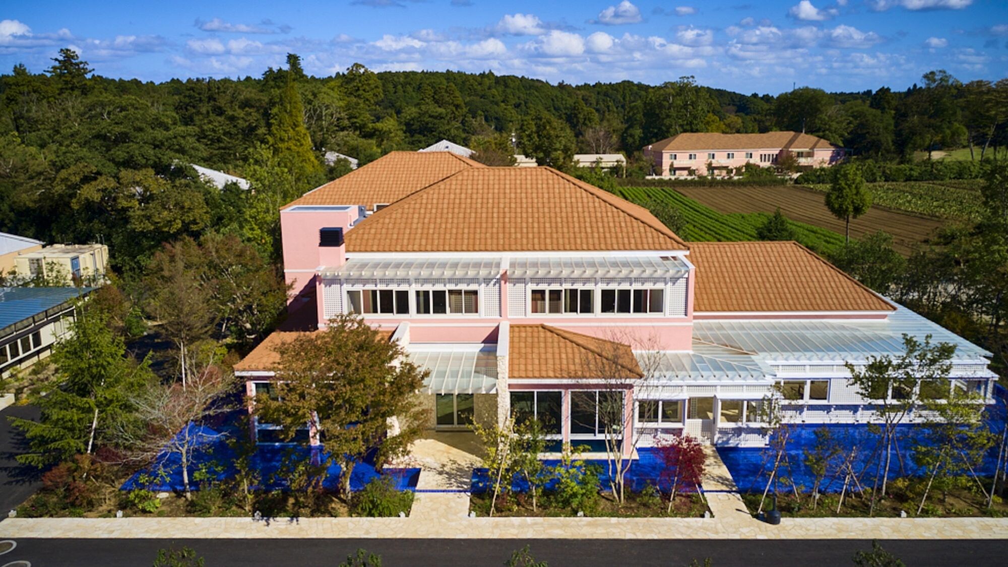 [South Wing] Appearance