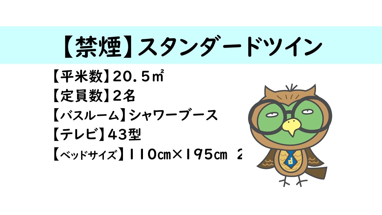 Standard Twin Room Overview