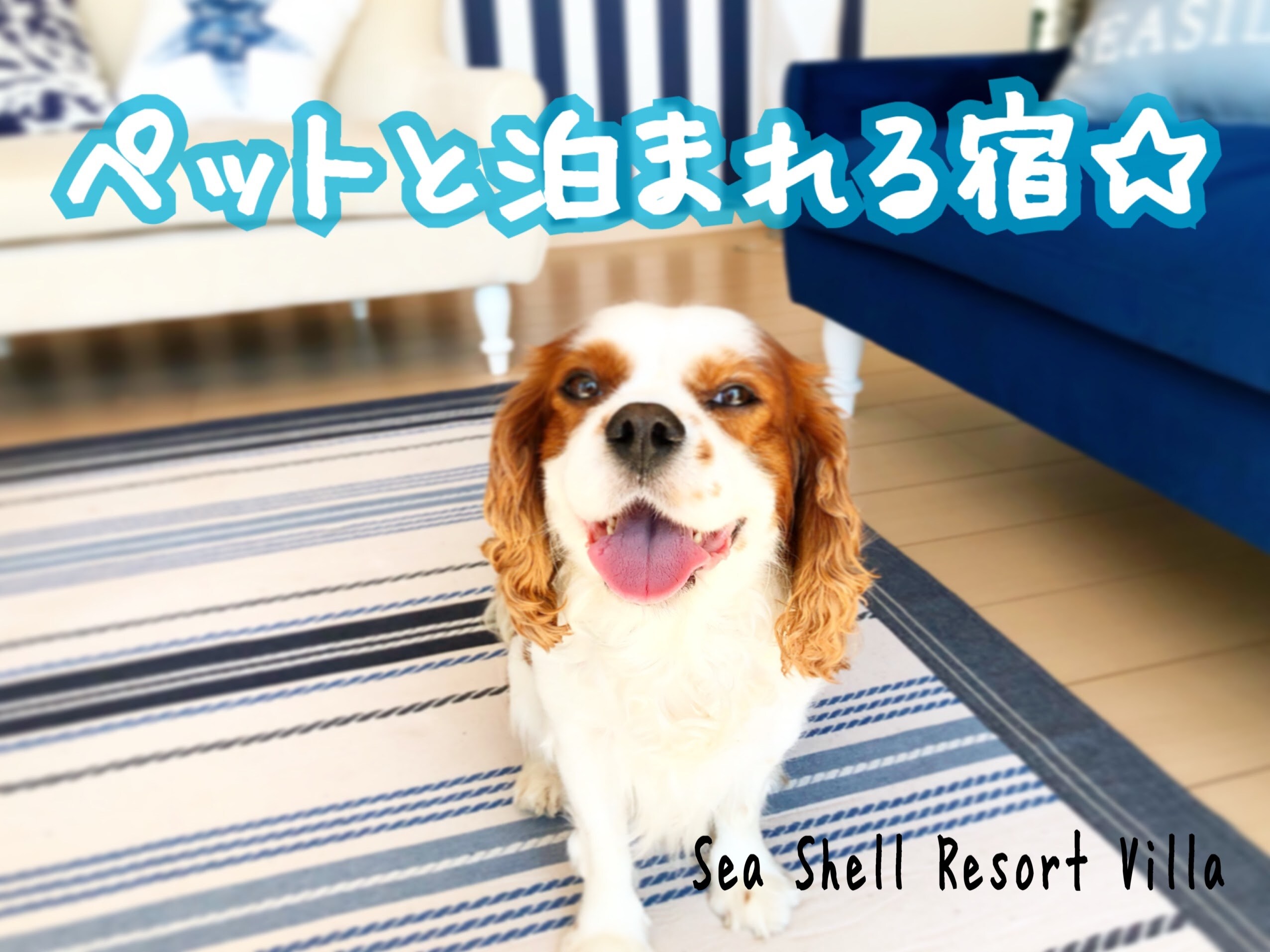 Pet-friendly condominiums