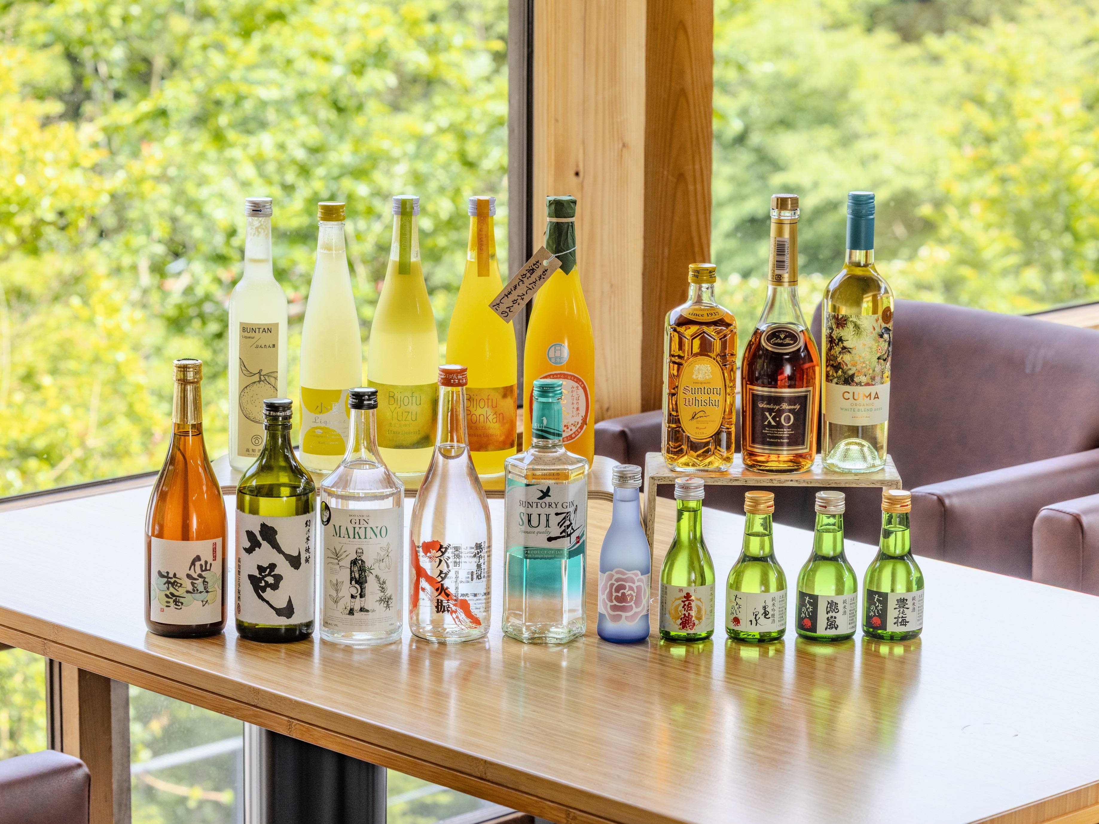 All-inclusive drink image