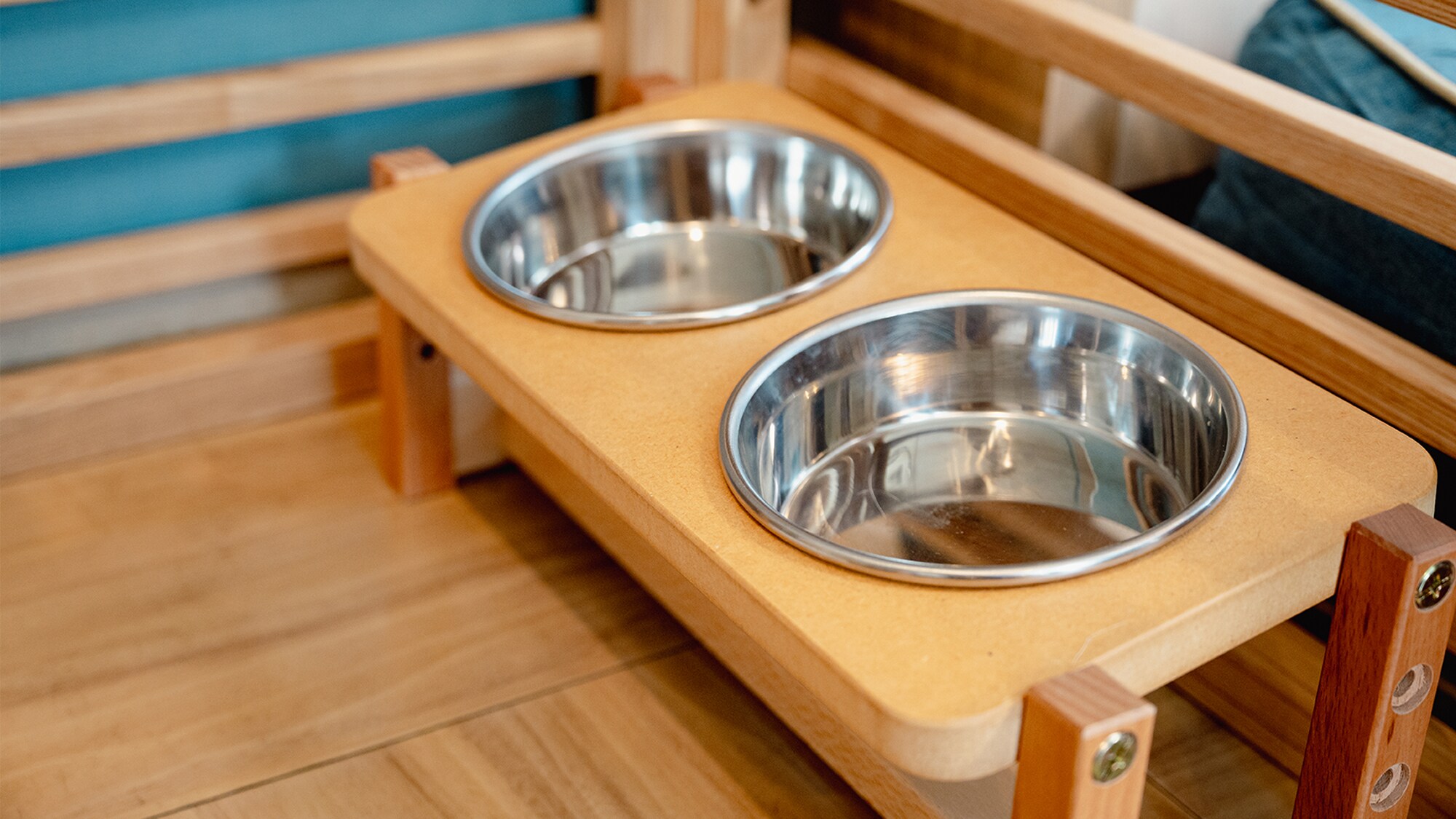 Dog-friendly room