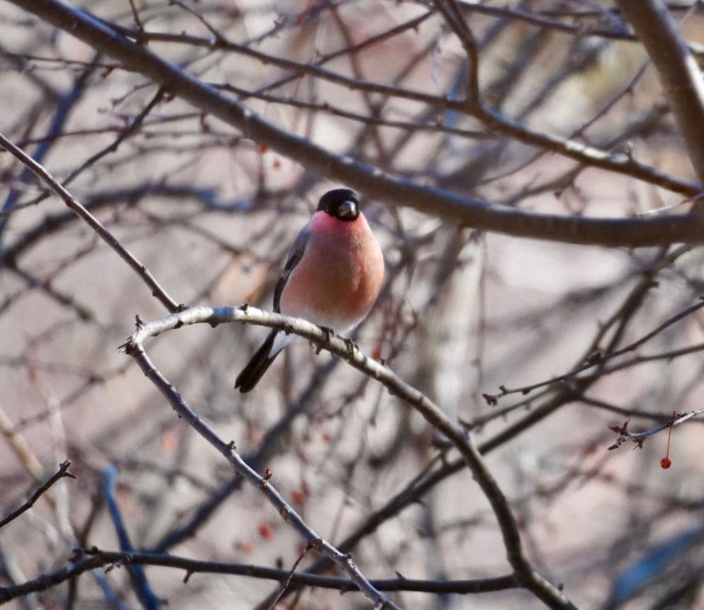 写真 2025-12-28 9 54 22.jpg