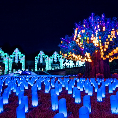 [Laguna Ten Bosch] "Light Meadow" with trees and lanterns