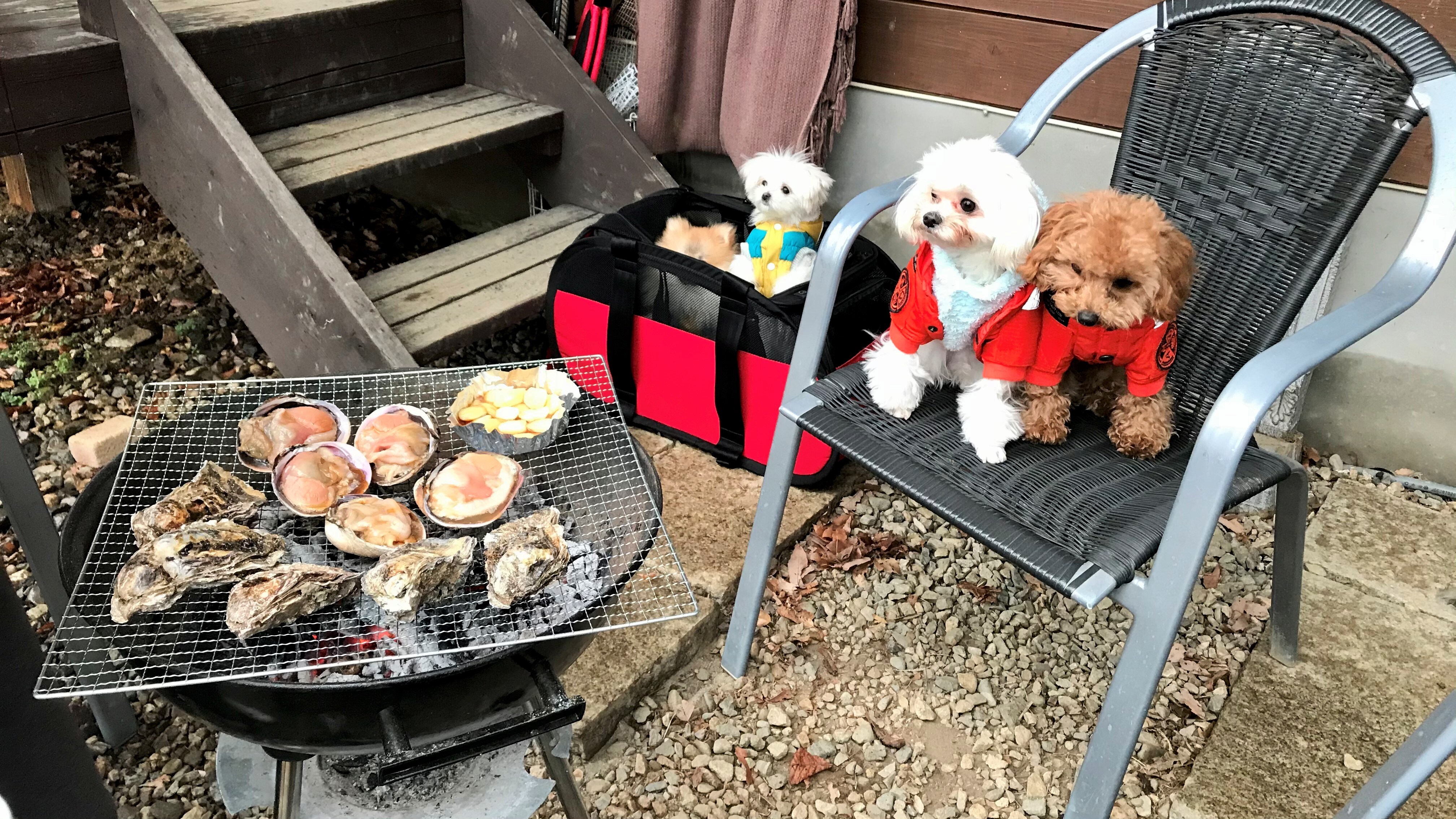 BBQ
