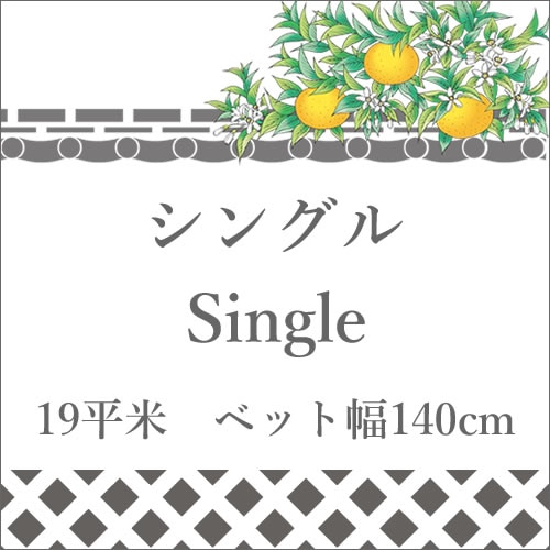 【single】