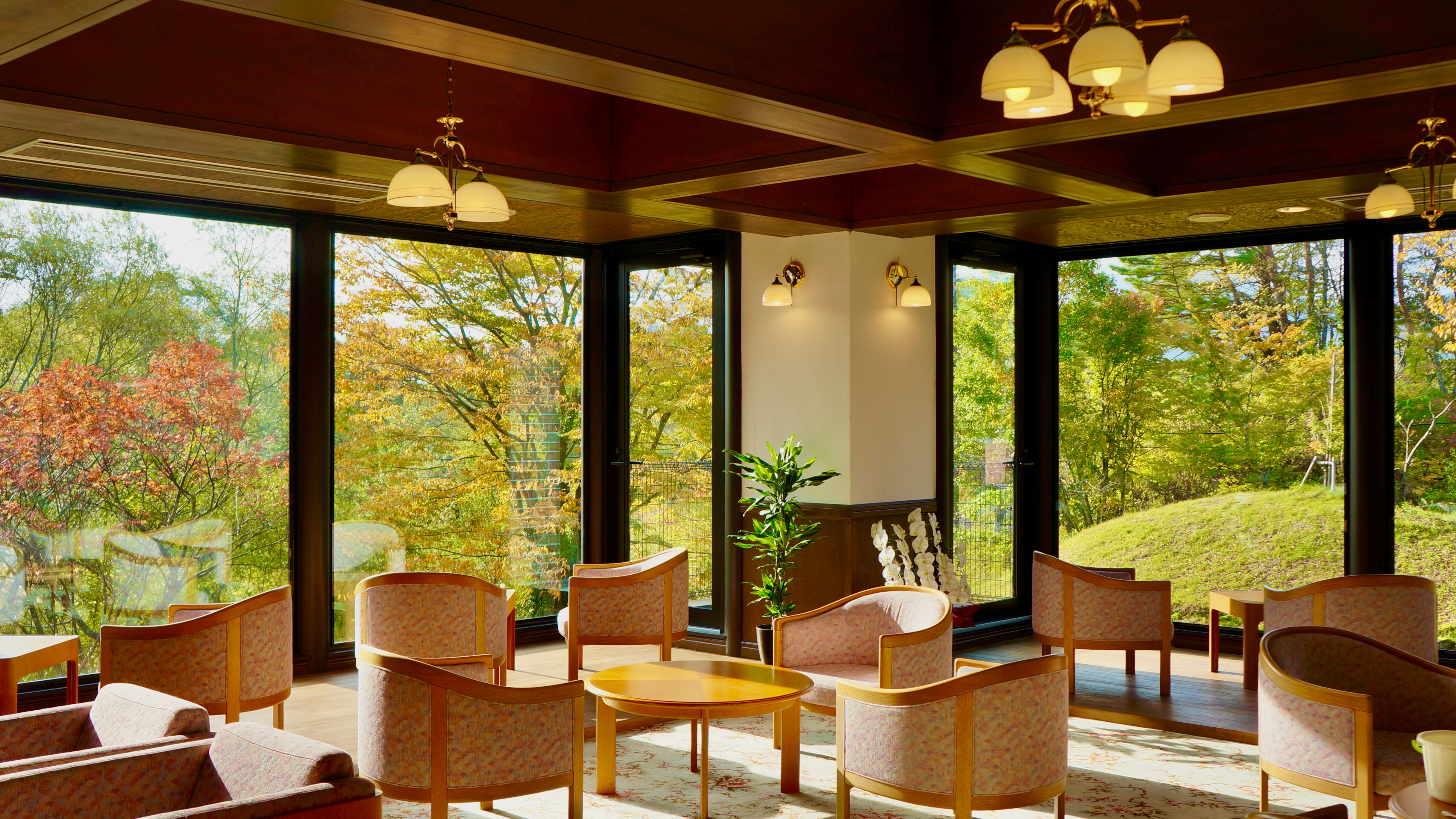 Lobi pagi. Ruang indah dekat dengan alam