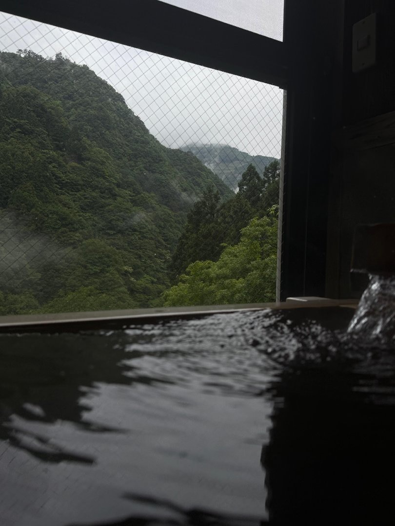 47CC99D3-2675-452B-B964-5D5631785BAF.jpeg