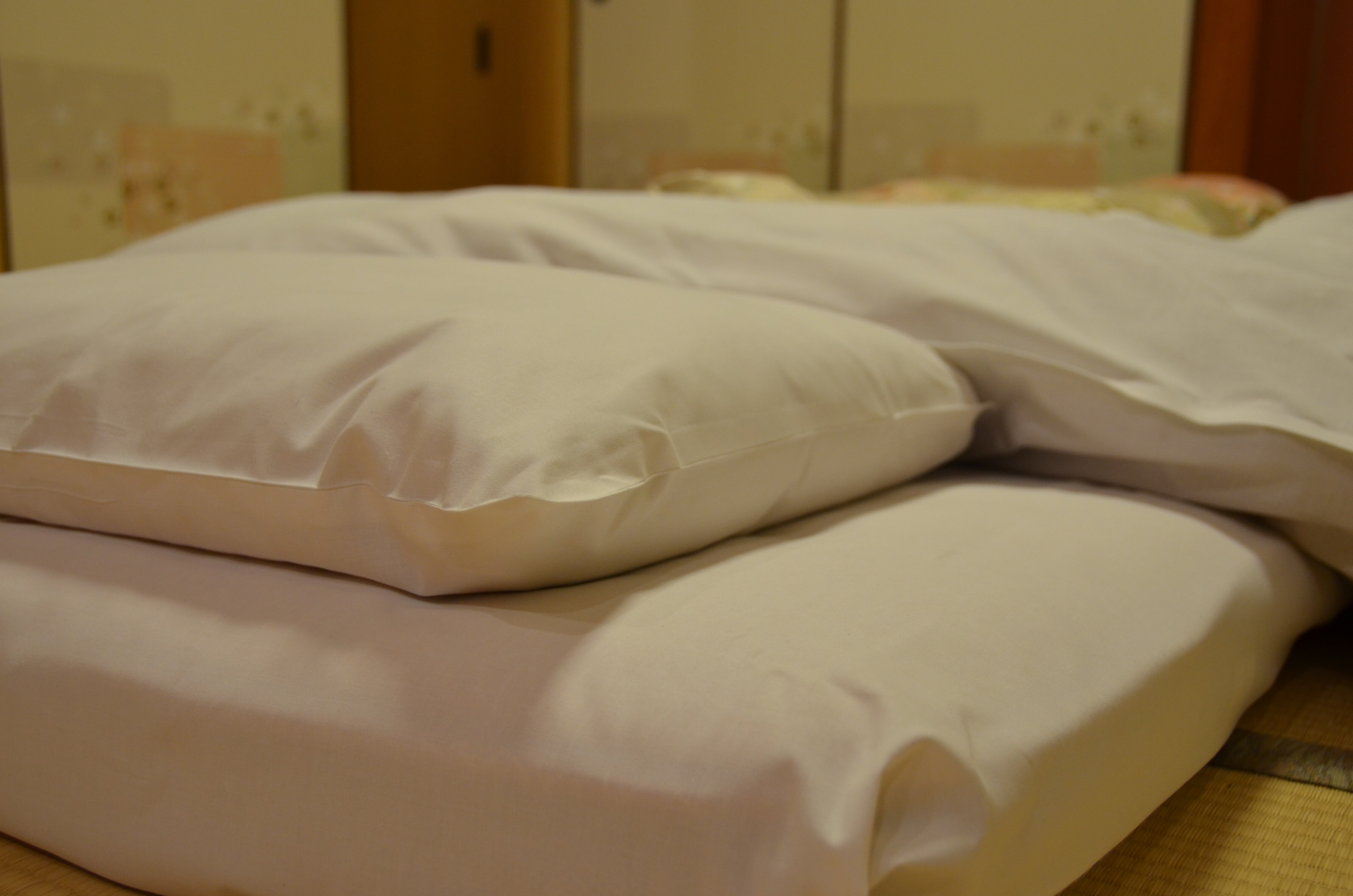 Tận hưởng một đêm ngon giấc trên chiếc giường futon mềm mại của chúng tôi.
