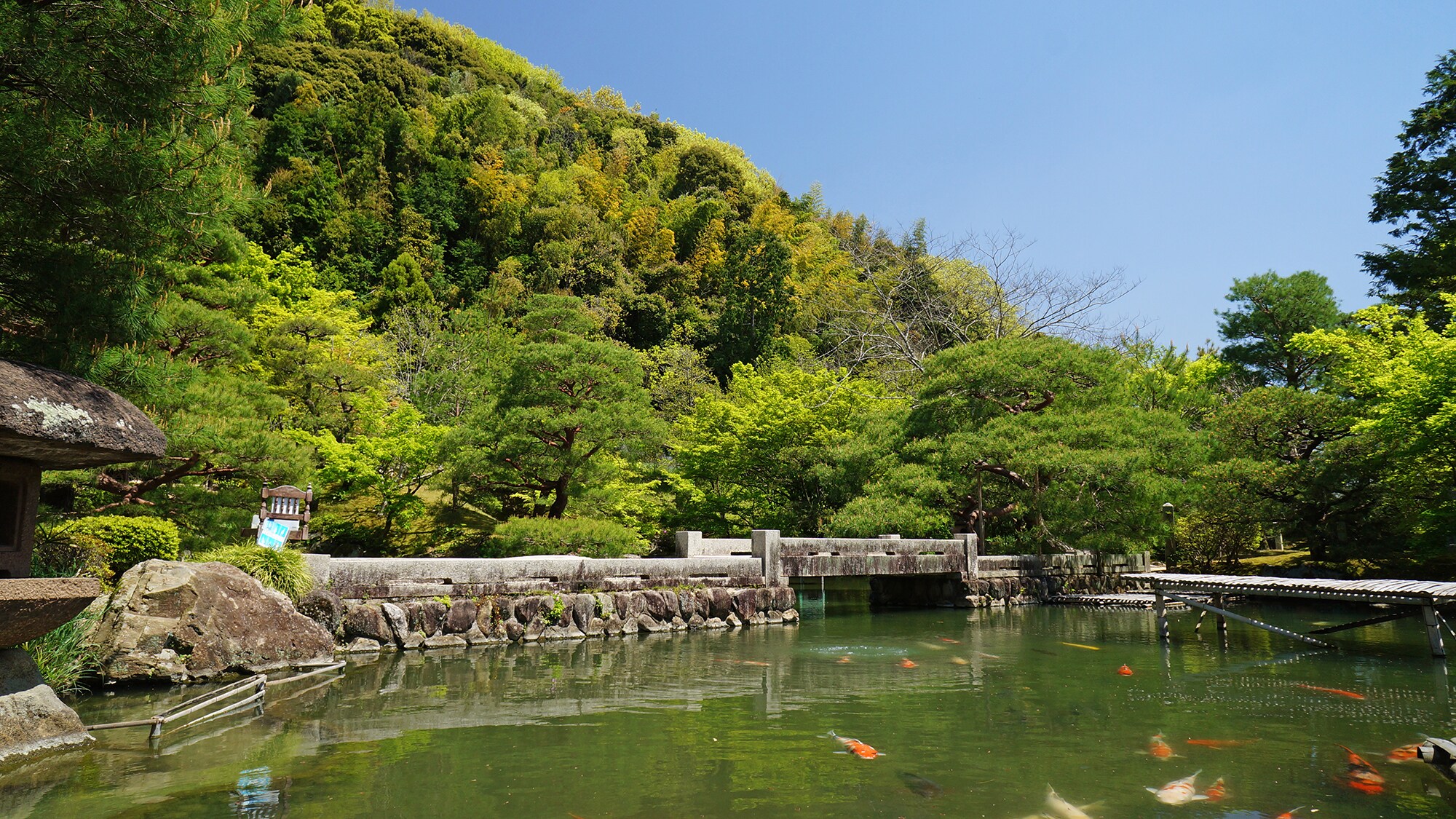 Pond garden