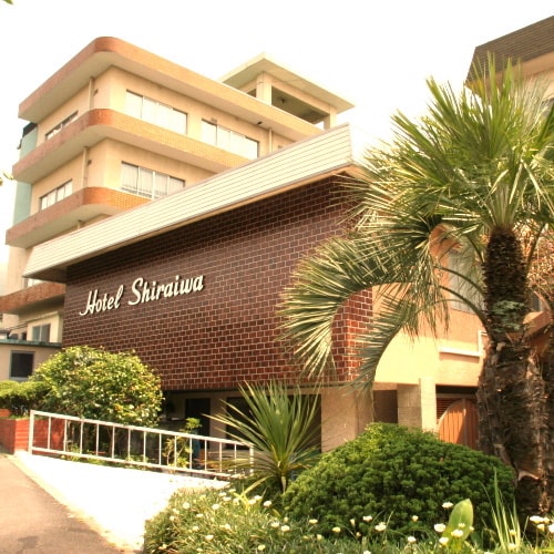 Appearance image